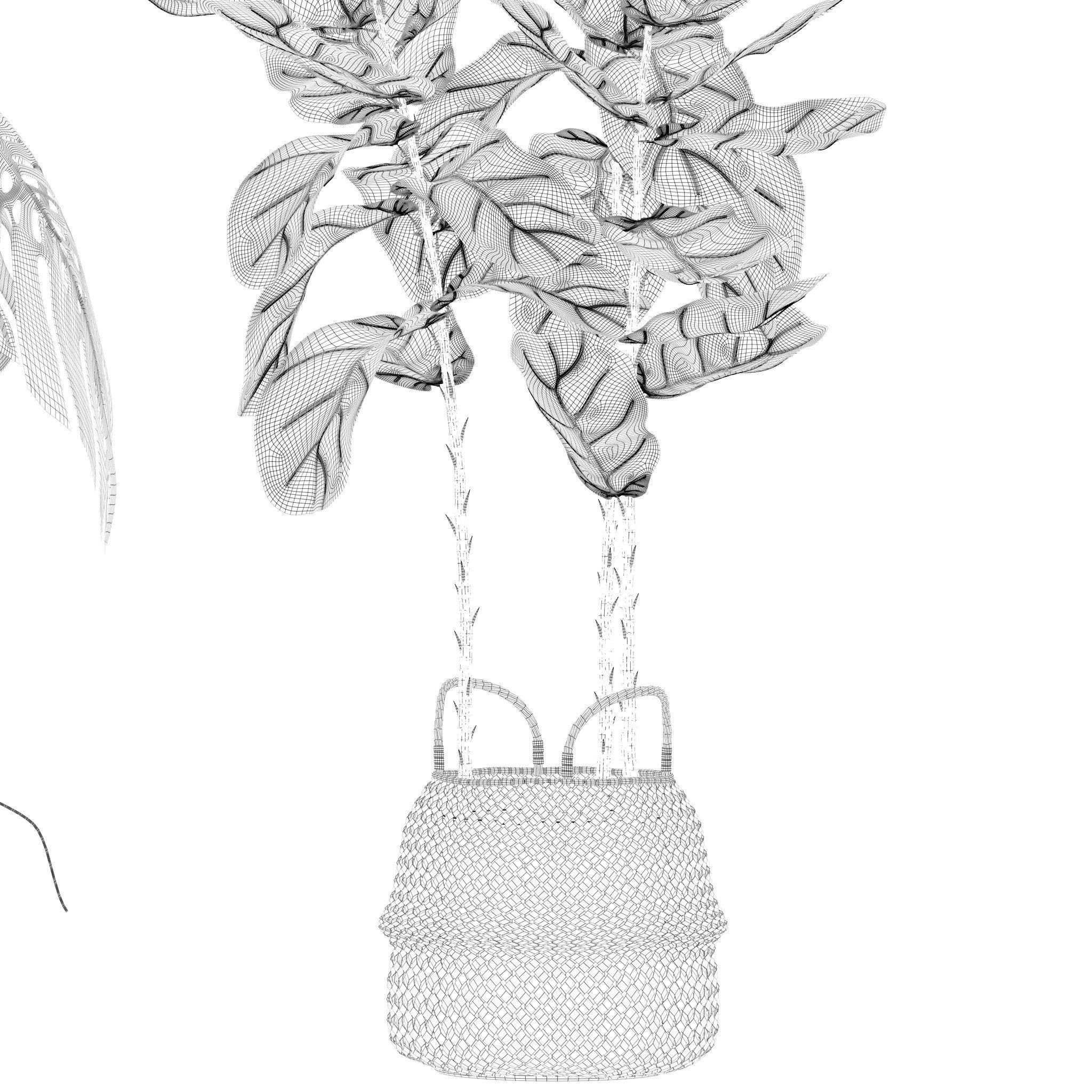 20 Photorealistic Flowers for Interiors - set 201 203 209 218 3D Model Collection_56