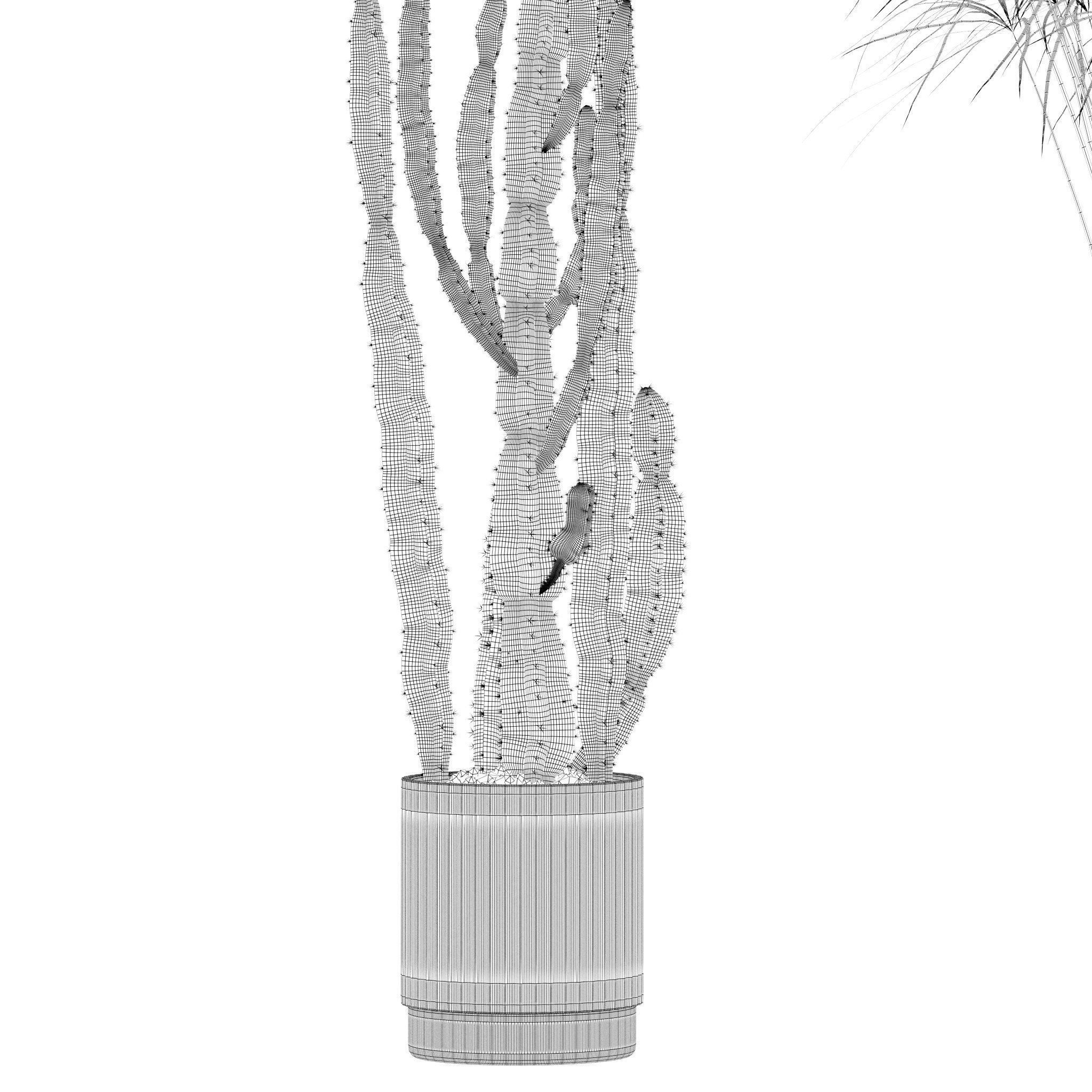 20 Photorealistic Flowers for Interiors - set 201 203 209 218 3D Model Collection_85