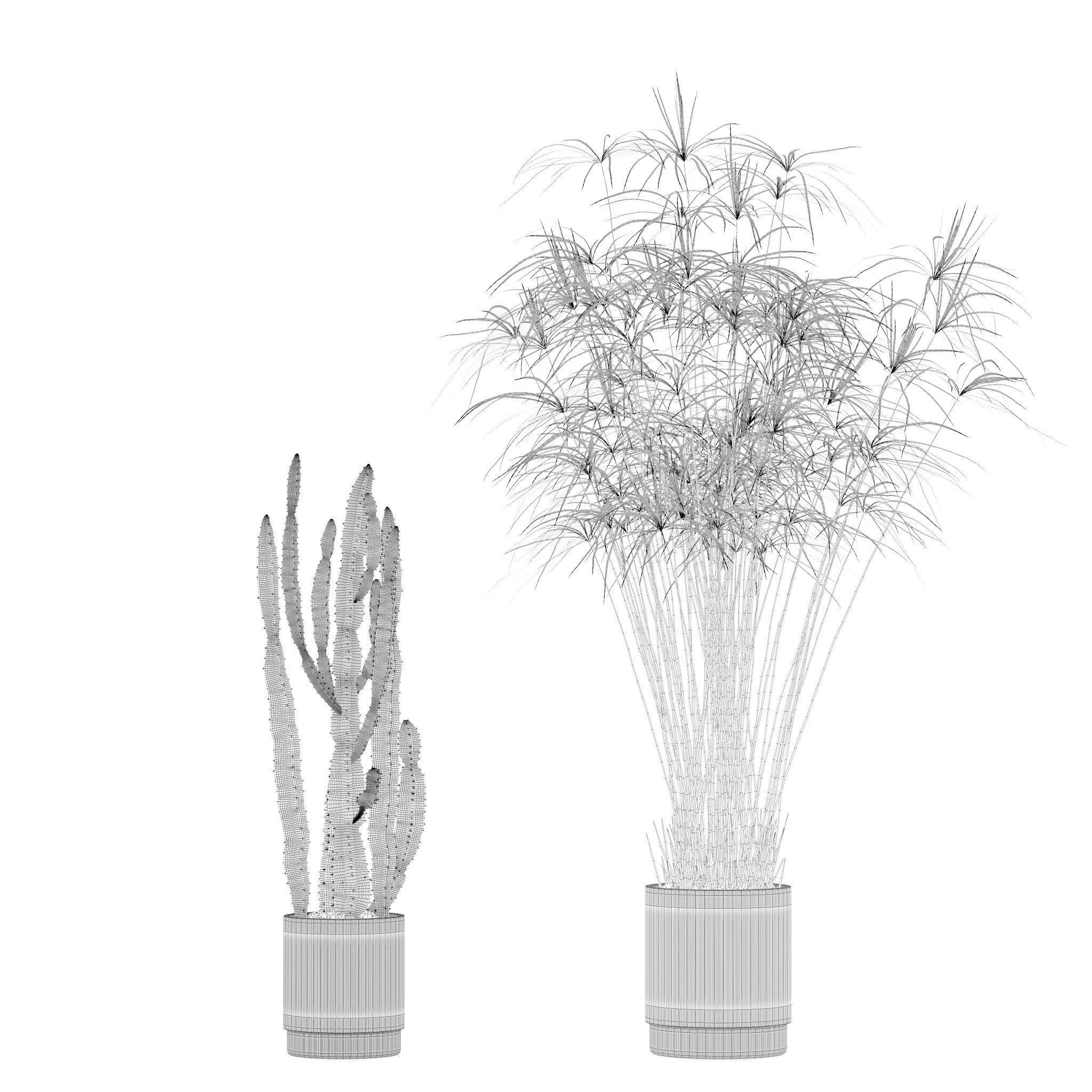 20 Photorealistic Flowers for Interiors - set 201 203 209 218 3D Model Collection_77