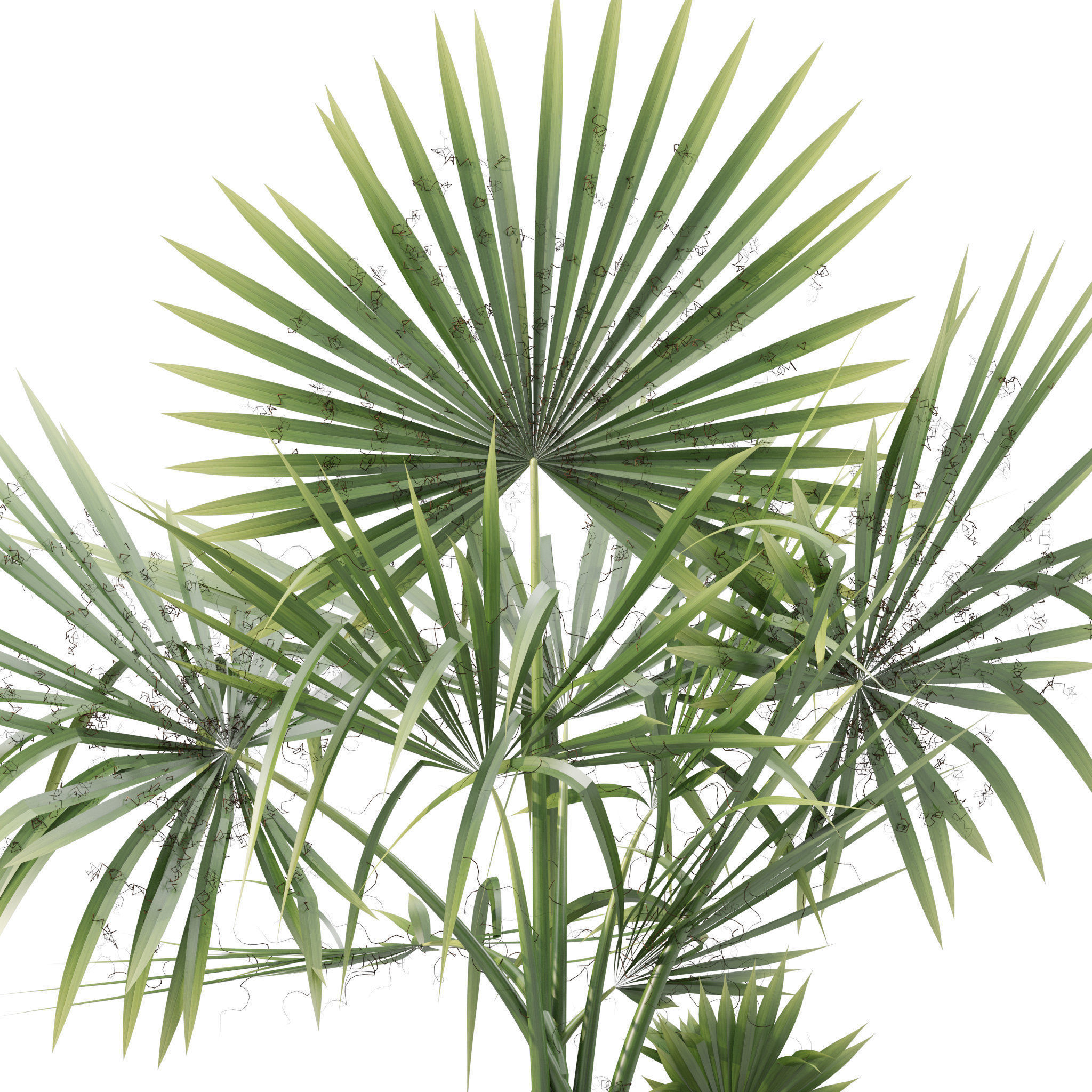 20 Photorealistic Flowers for Interiors - set 201 203 209 218 3D Model Collection_88