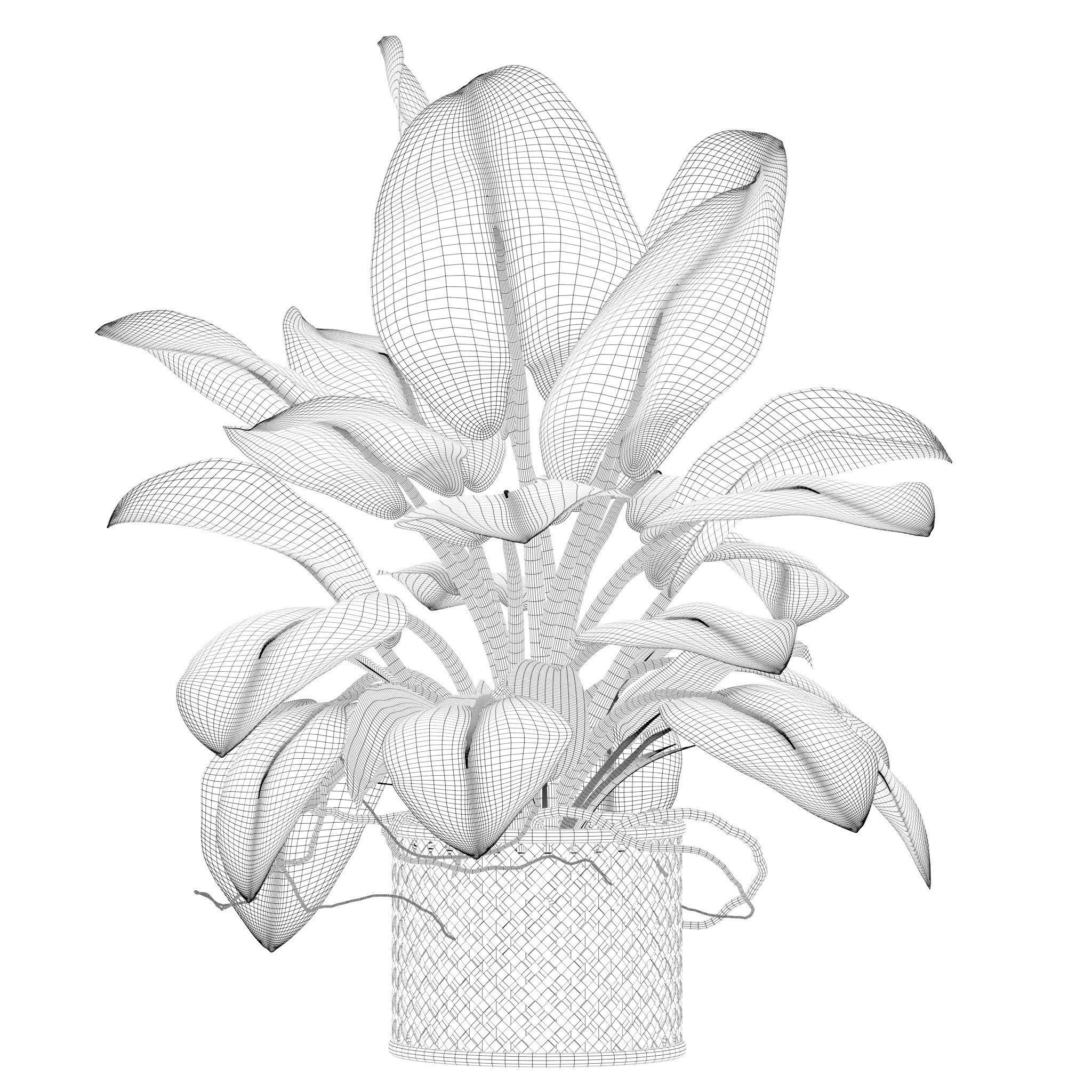 20 Photorealistic Flowers for Interiors - set 201 203 209 218 3D Model Collection_60