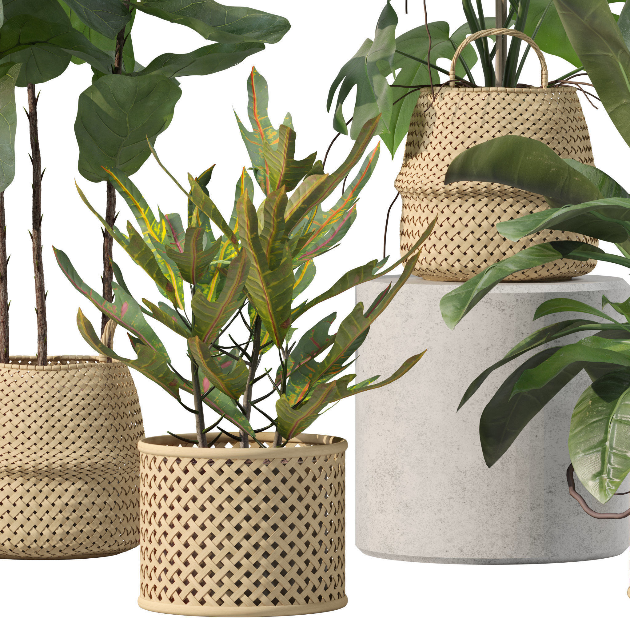 20 Photorealistic Flowers for Interiors - set 201 203 209 218 3D Model Collection_62