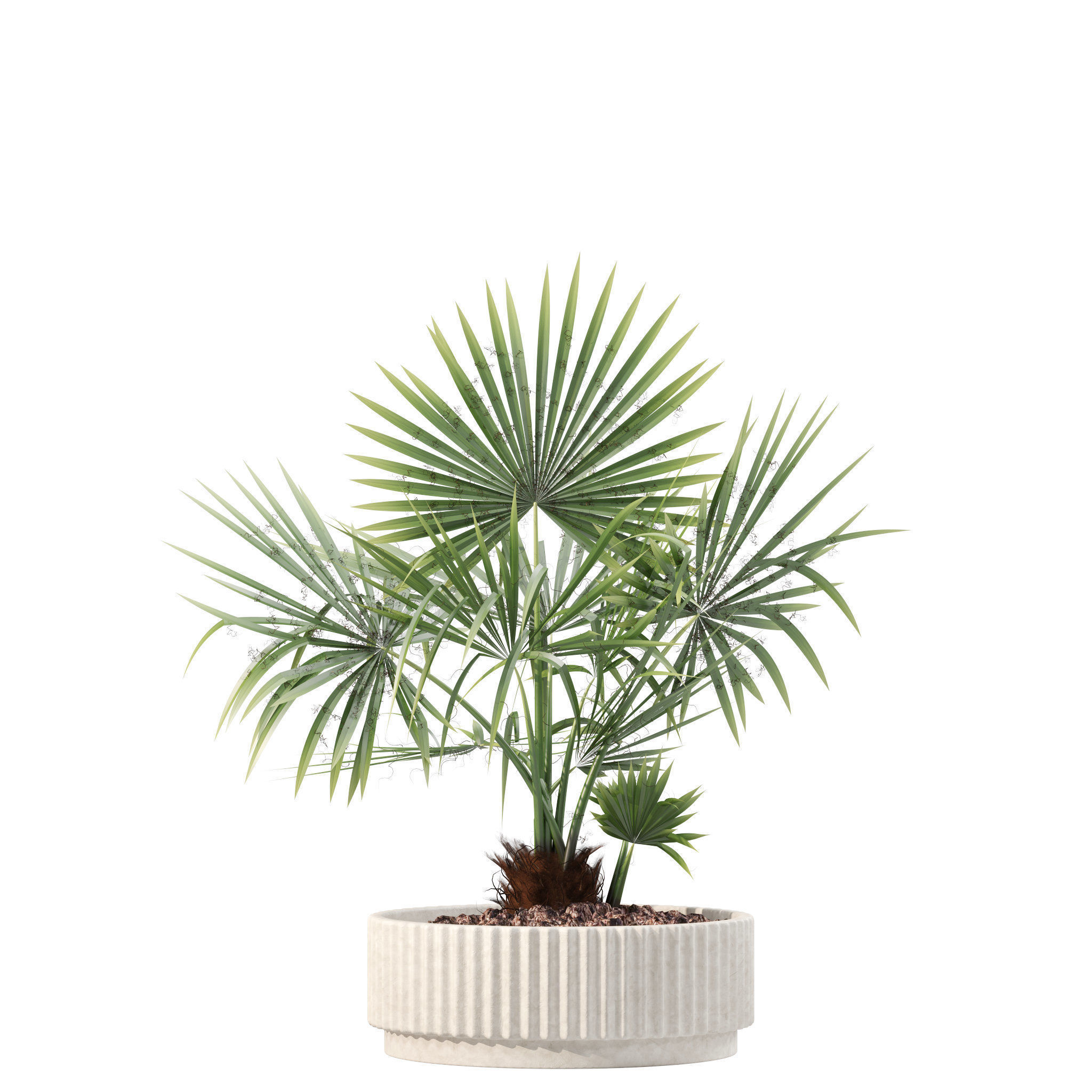 20 Photorealistic Flowers for Interiors - set 201 203 209 218 3D Model Collection_76