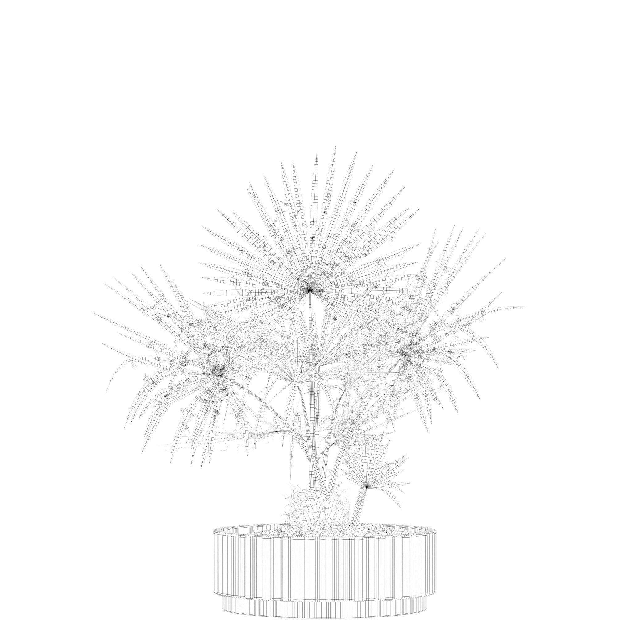 20 Photorealistic Flowers for Interiors - set 201 203 209 218 3D Model Collection_80