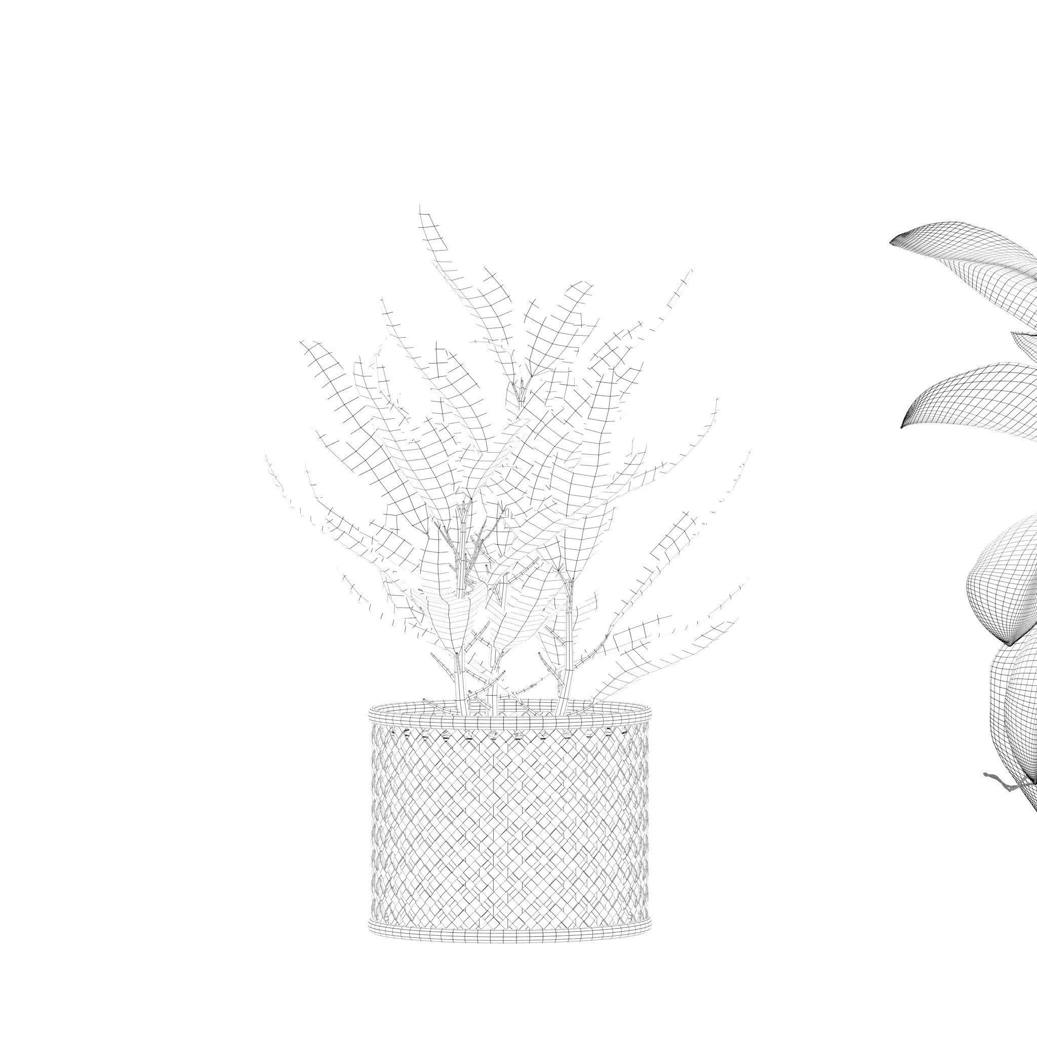 20 Photorealistic Flowers for Interiors - set 201 203 209 218 3D Model Collection_46