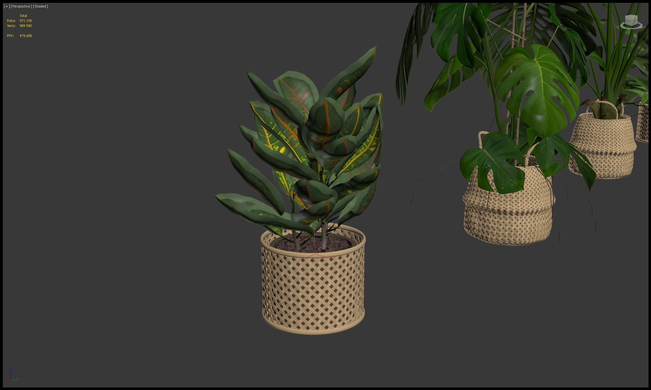 20 Photorealistic Flowers for Interiors - set 201 203 209 218 3D Model Collection_63