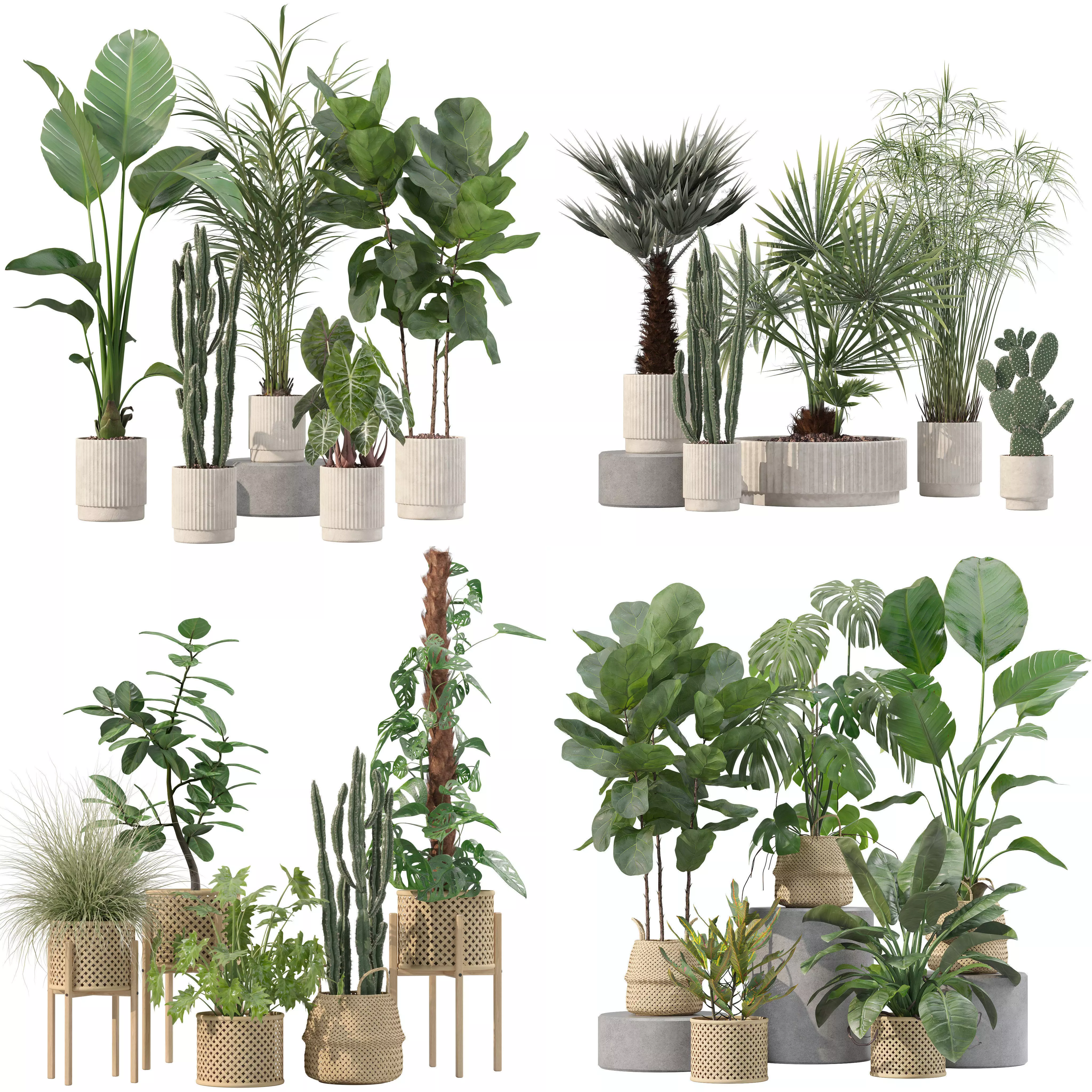 20 Photorealistic Flowers for Interiors - set 201 203 209 218 3D Model Collection_0