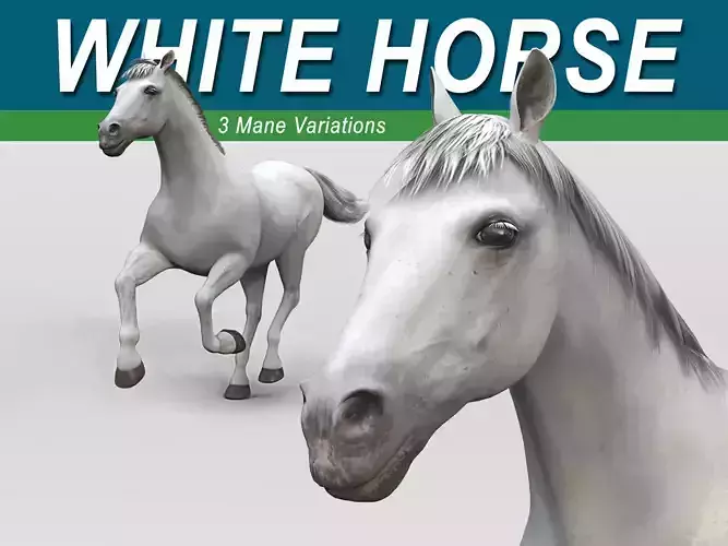 Horse - White