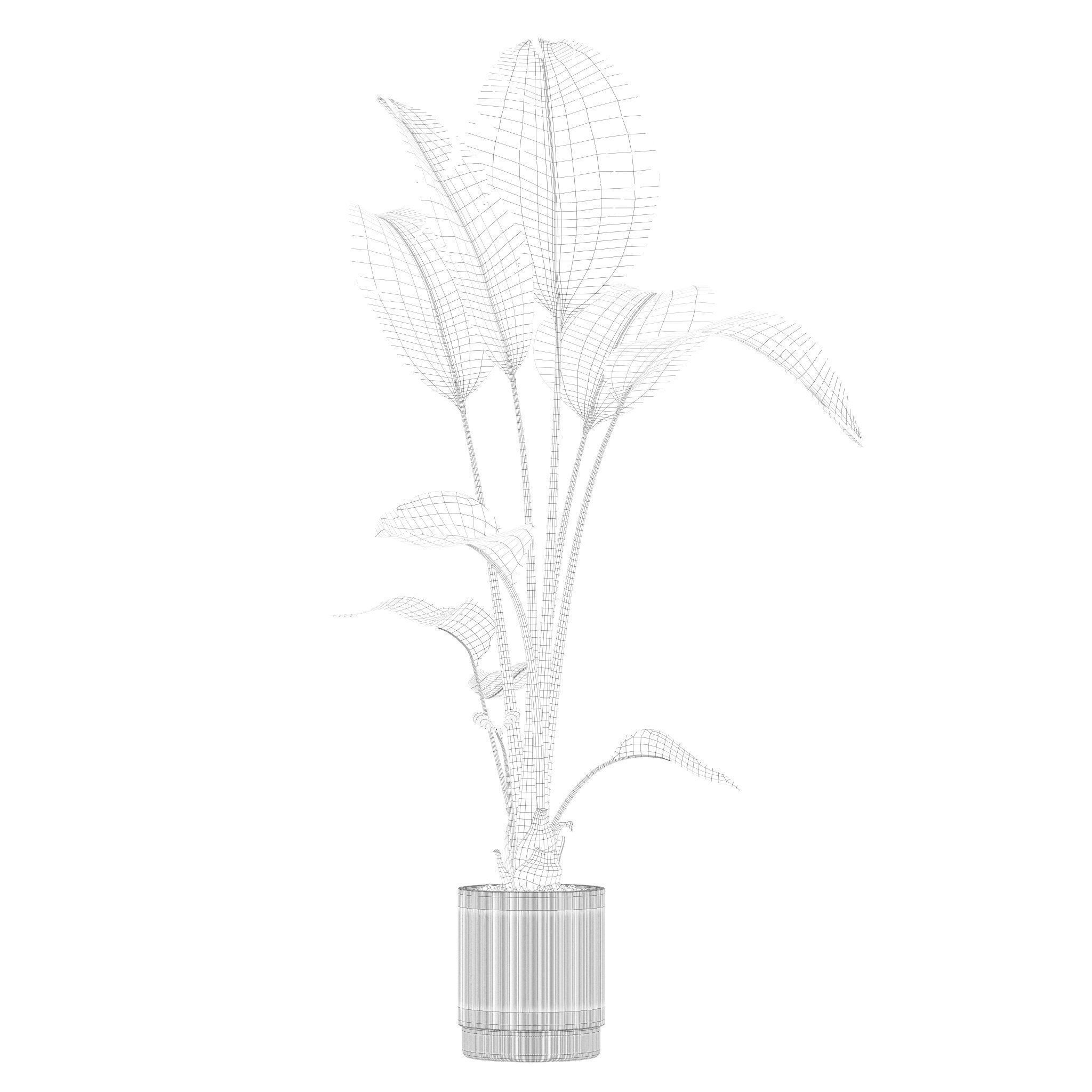 20 Photorealistic Flowers for Interiors - set 201 205 207 219 3D Model Collection_10