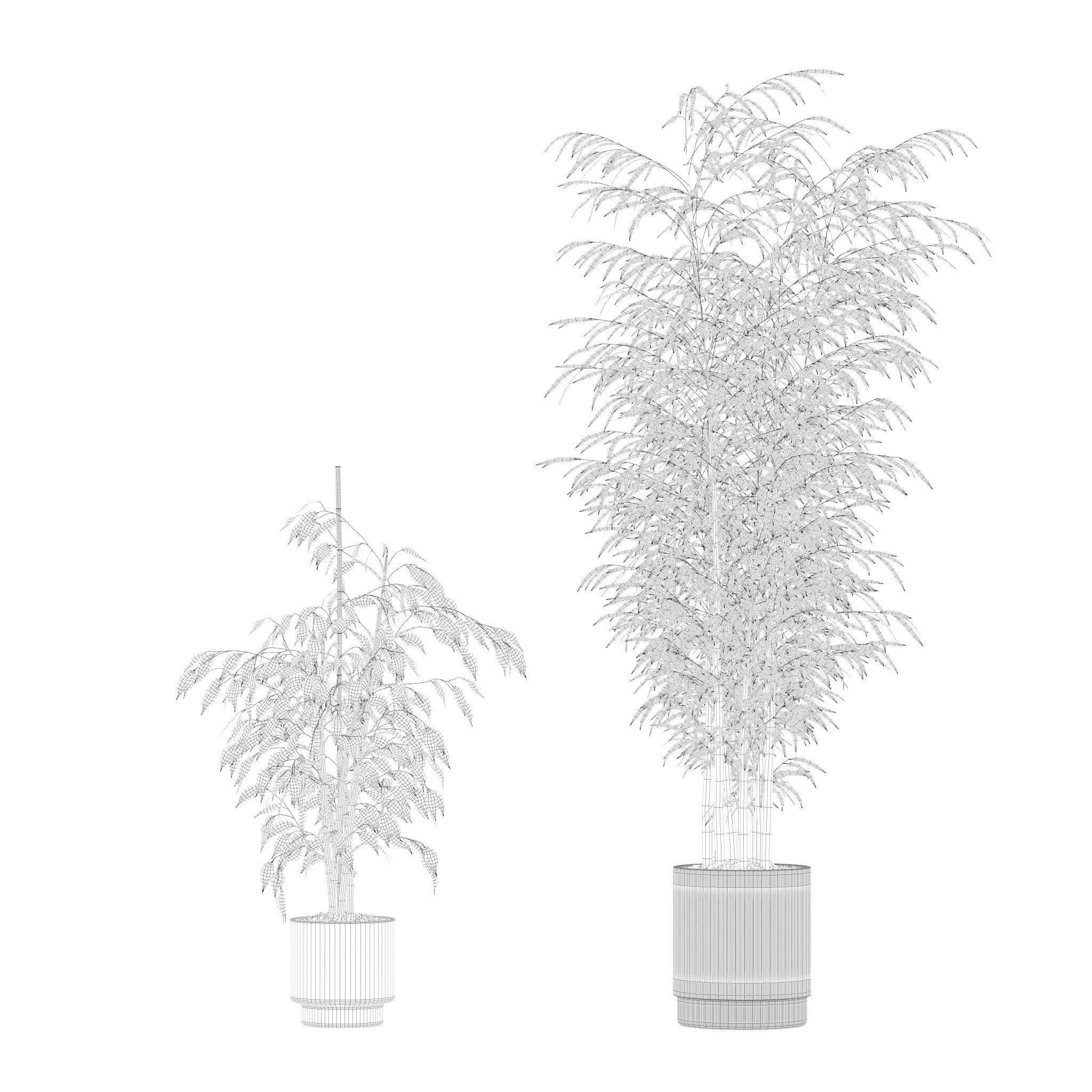 20 Photorealistic Flowers for Interiors - set 201 205 207 219 3D Model Collection_29