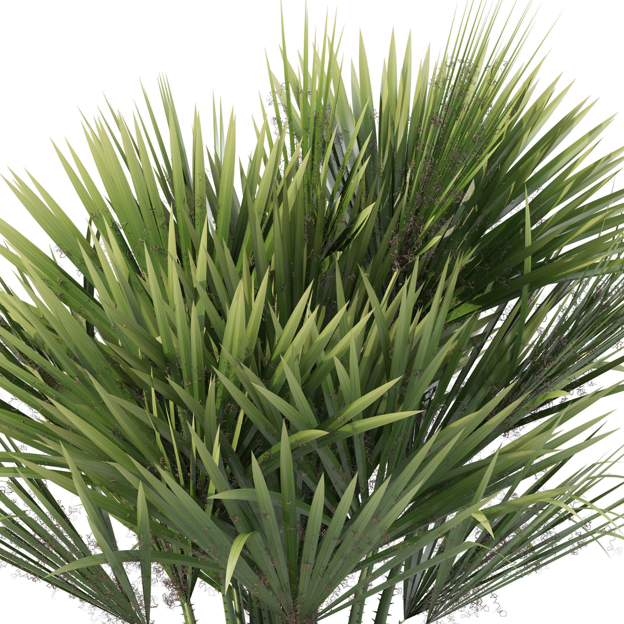 20 Photorealistic Flowers for Interiors - set 201 205 207 219 3D Model Collection_61