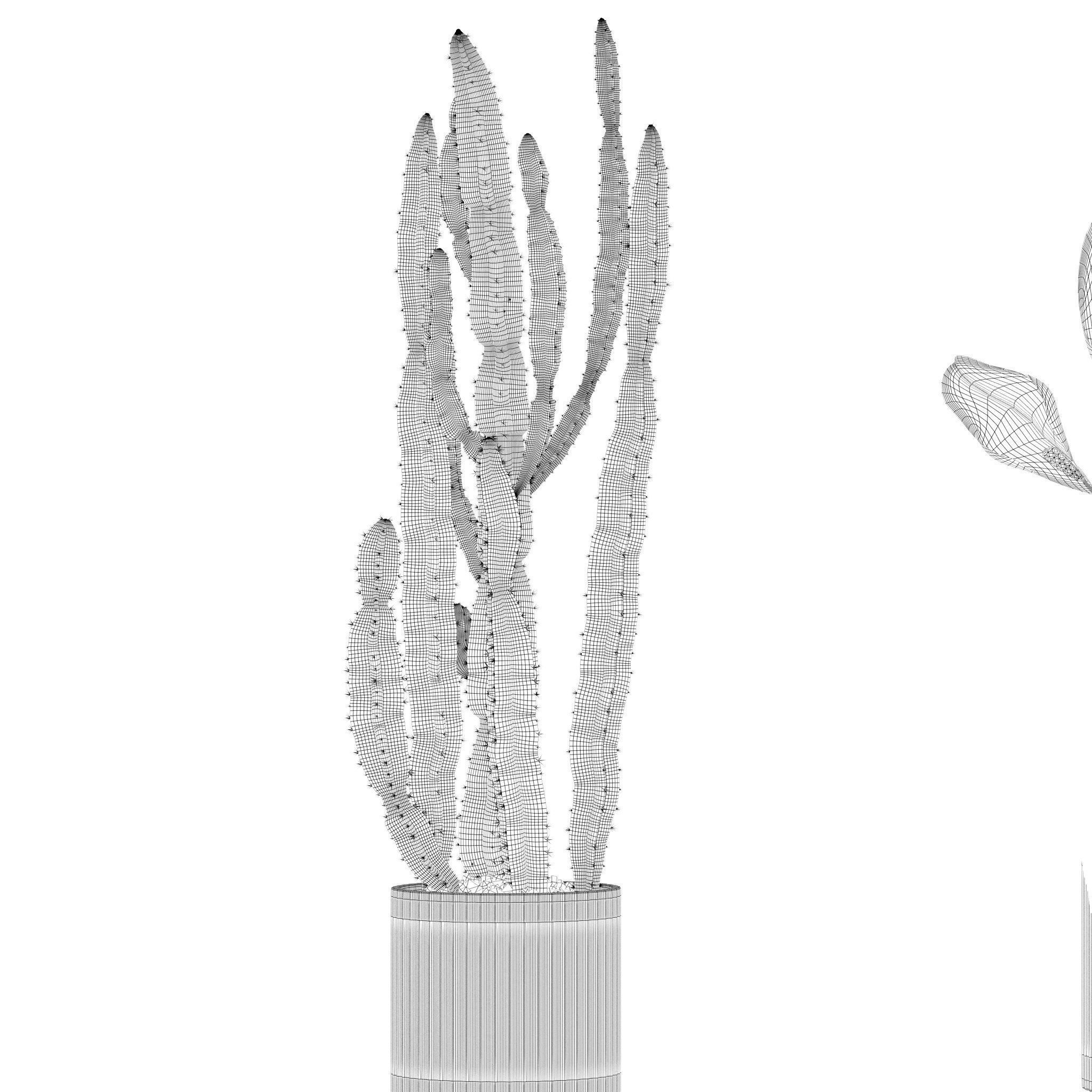 20 Photorealistic Flowers for Interiors - set 201 205 207 219 3D Model Collection_33