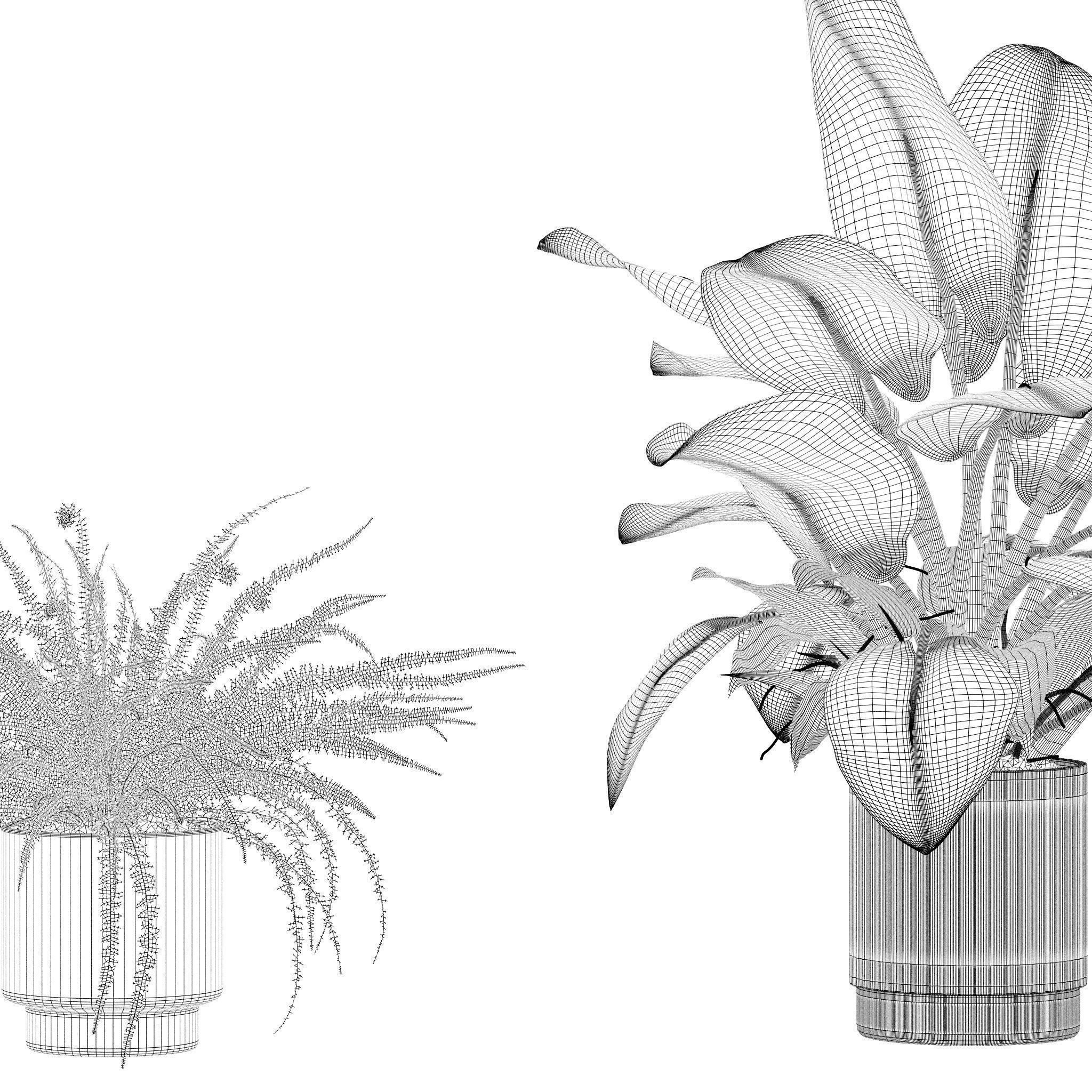 20 Photorealistic Flowers for Interiors - set 201 205 207 219 3D Model Collection_62