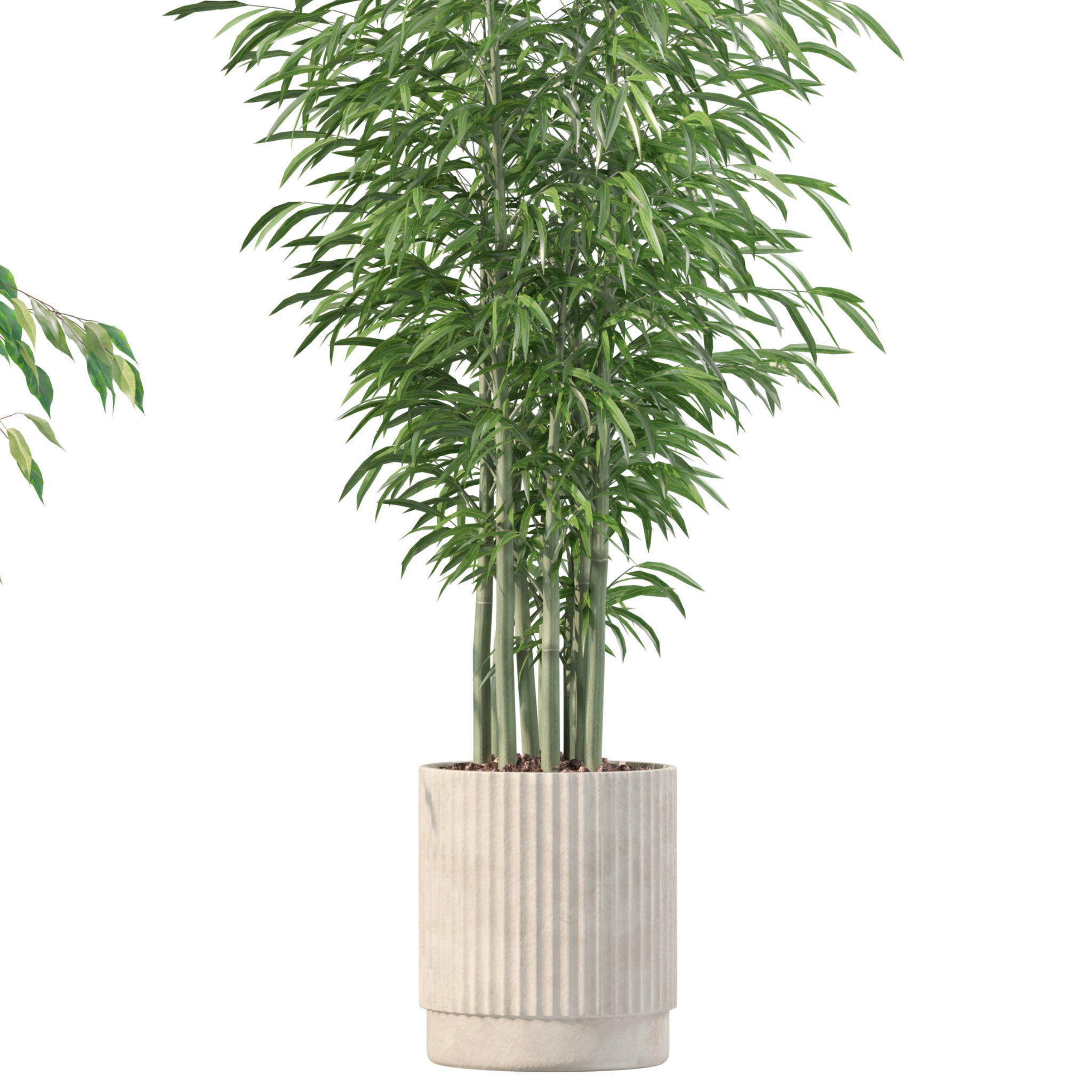 20 Photorealistic Flowers for Interiors - set 201 205 207 219 3D Model Collection_32