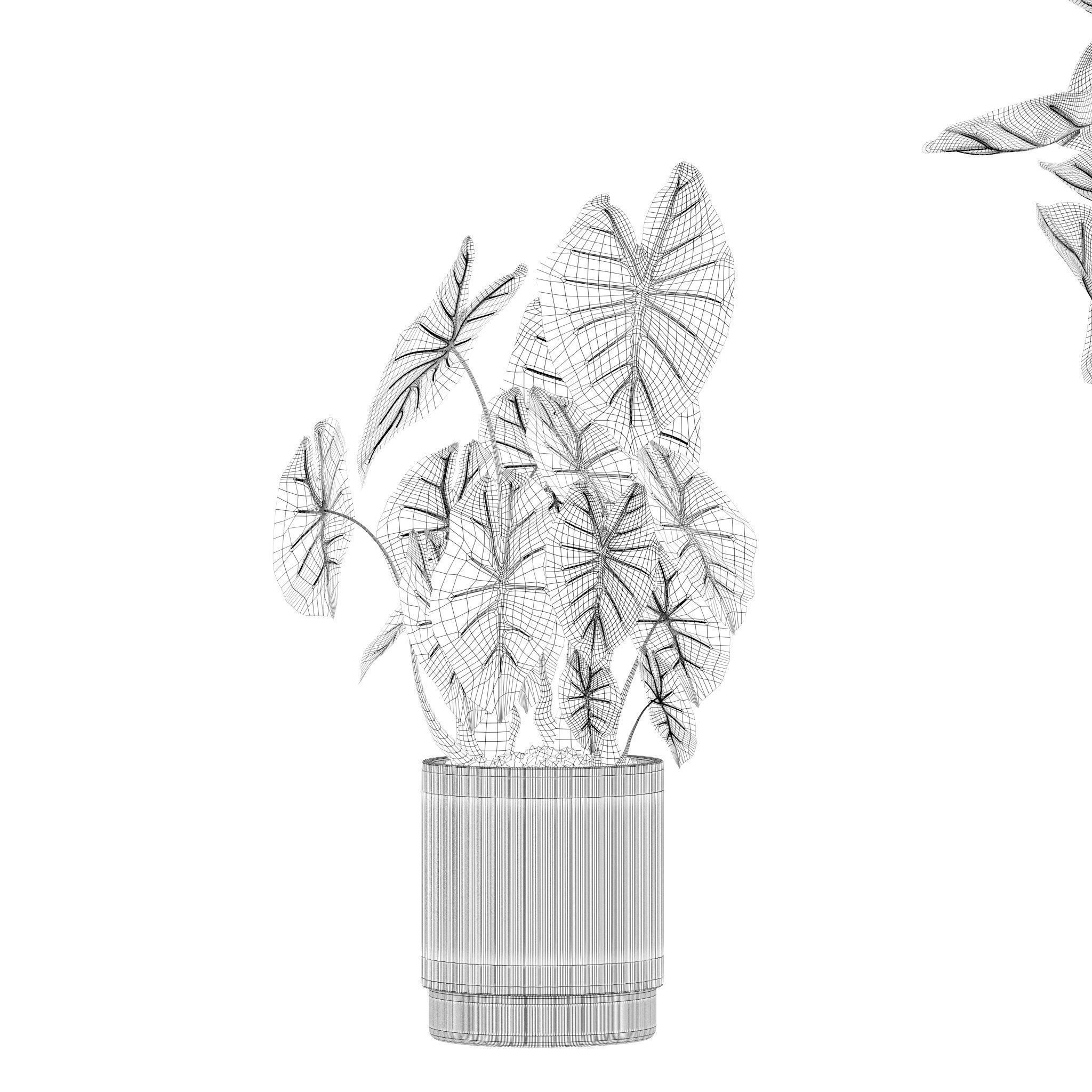 20 Photorealistic Flowers for Interiors - set 201 205 207 219 3D Model Collection_14