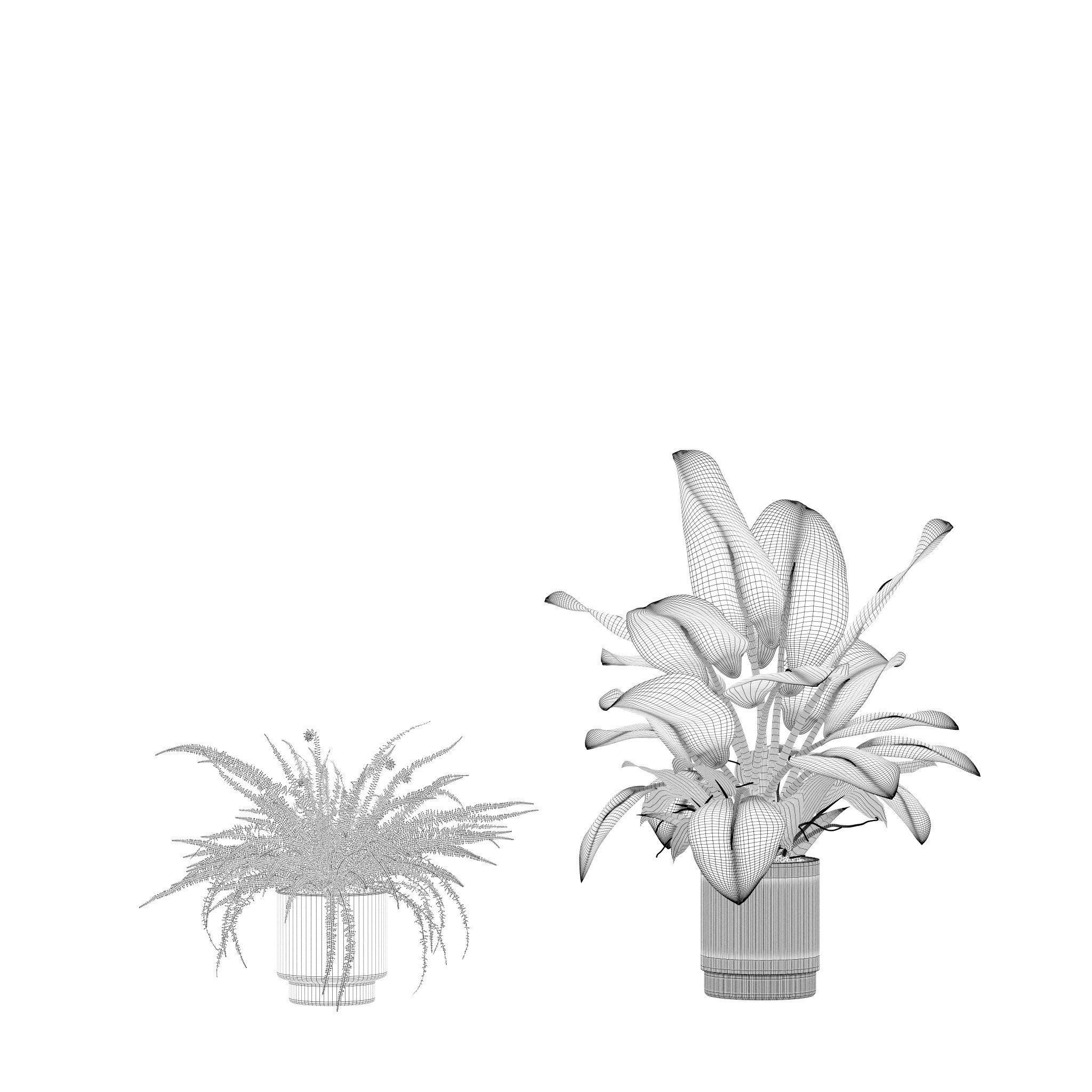 20 Photorealistic Flowers for Interiors - set 201 205 207 219 3D Model Collection_49