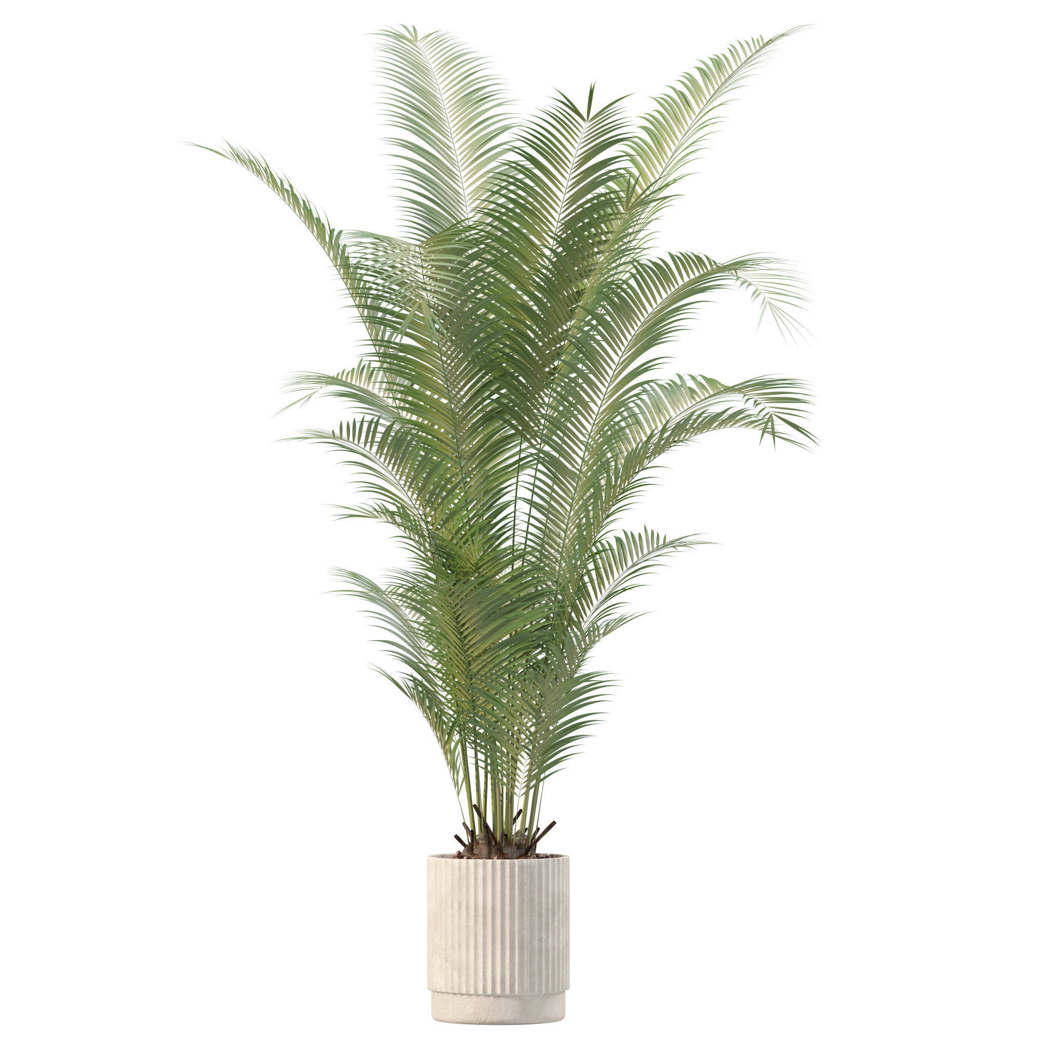 20 Photorealistic Flowers for Interiors - set 201 205 207 219 3D Model Collection_30