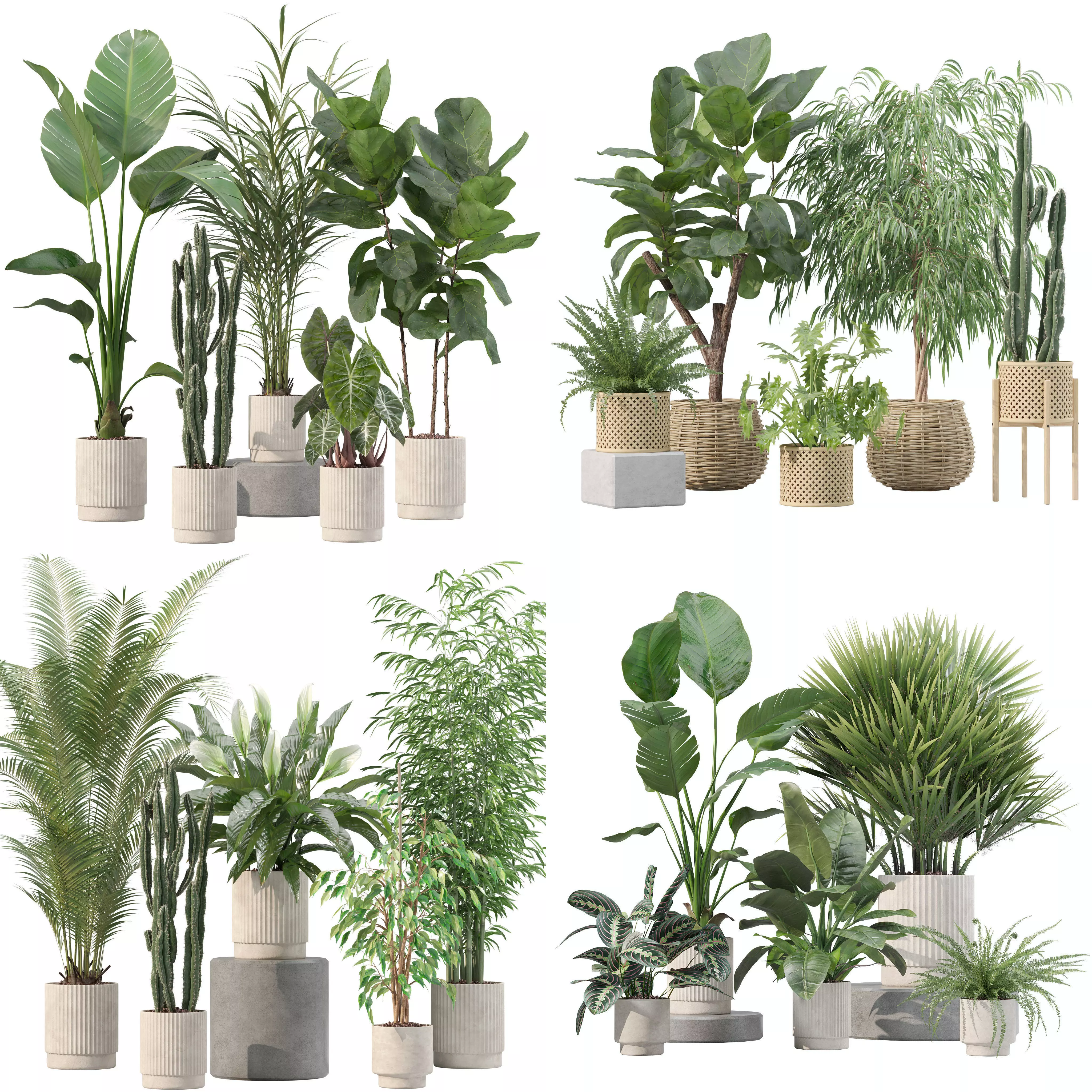 20 Photorealistic Flowers for Interiors - set 201 205 207 219 3D Model Collection_0