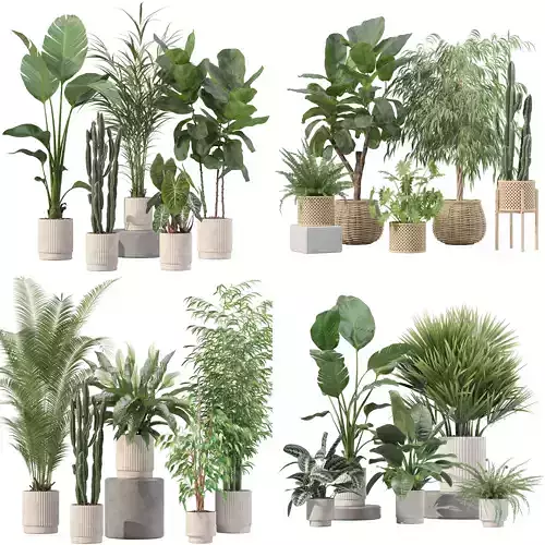 20 Photorealistic Flowers for Interiors - set 201 205 207 219 3D Model Collection