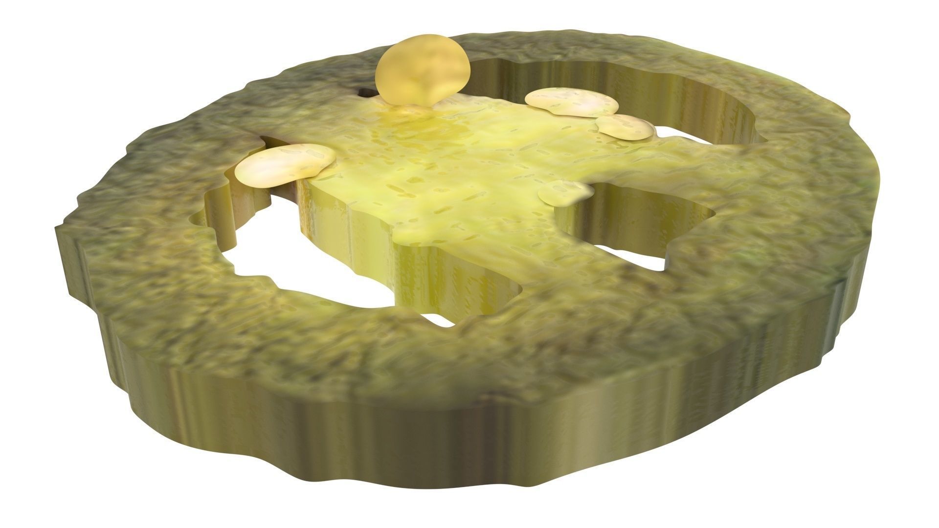 Sliced Jalapeno Pepper 3D model_7