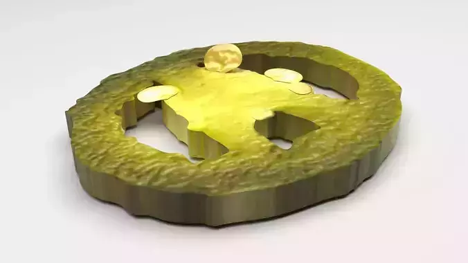 Sliced Jalapeno Pepper 3D model