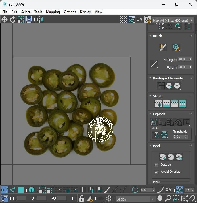 Sliced Jalapeno Pepper 3D model_31