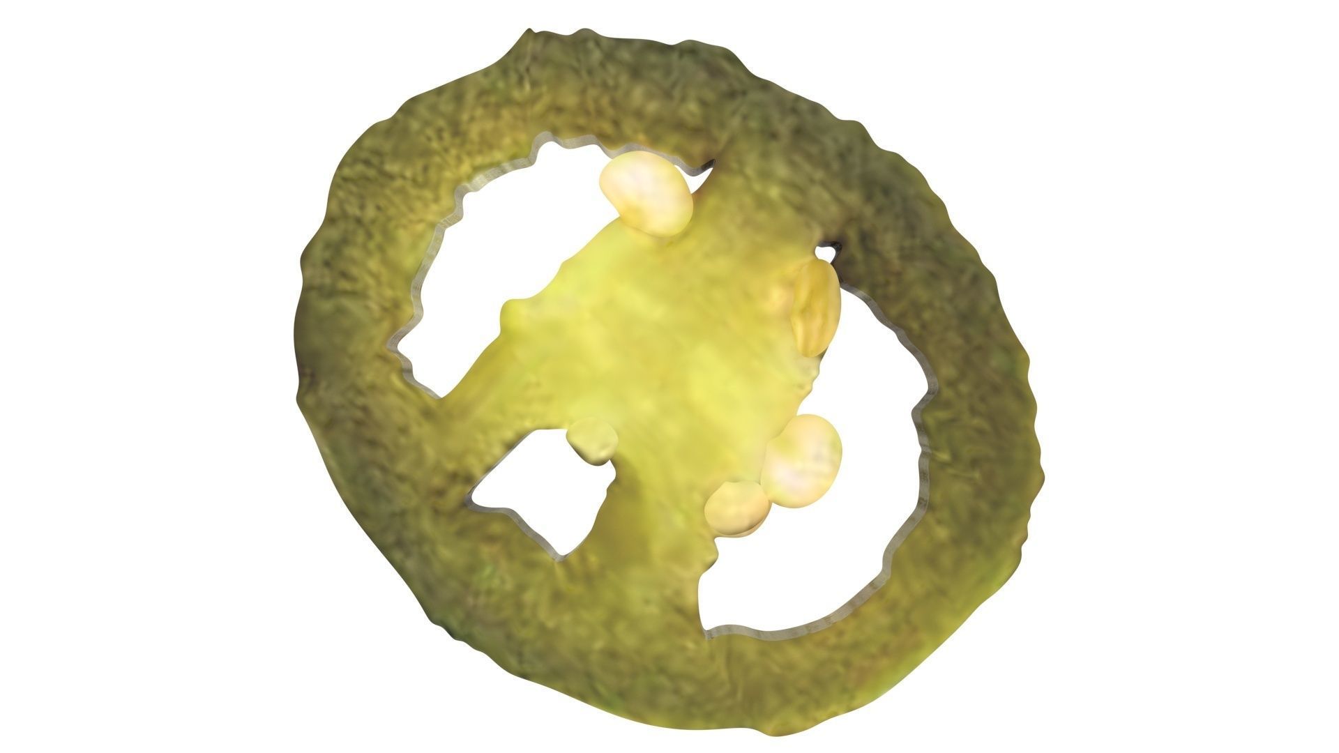 Sliced Jalapeno Pepper 3D model_8