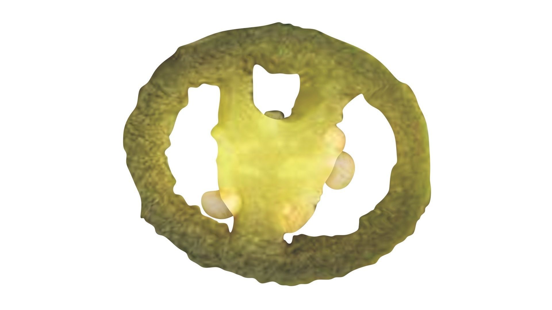 Sliced Jalapeno Pepper 3D model_15