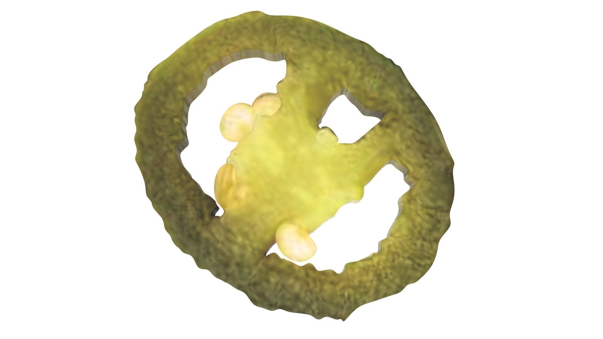 Sliced Jalapeno Pepper 3D model_10