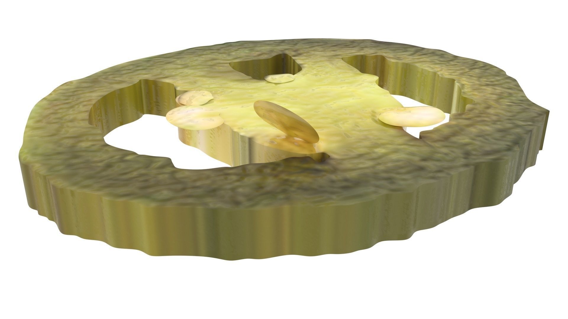 Sliced Jalapeno Pepper 3D model_9