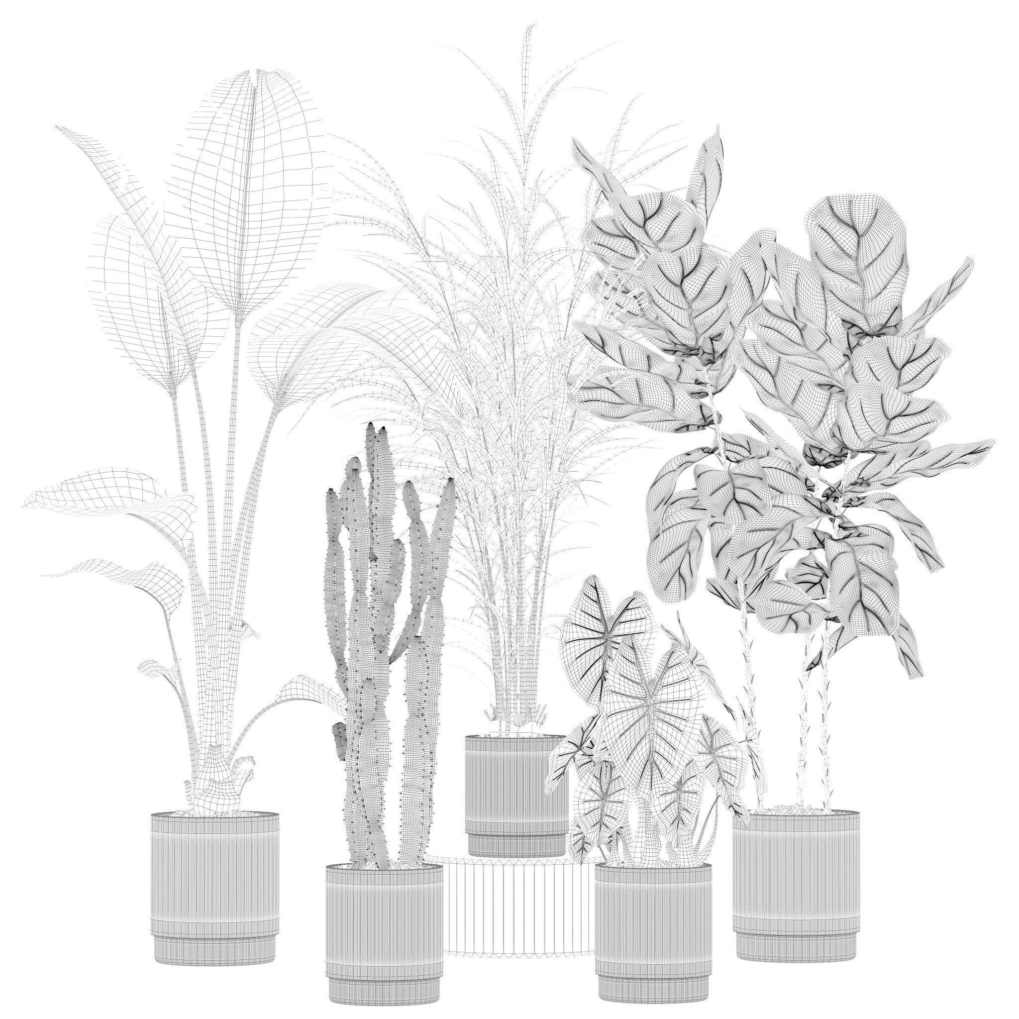 20 Photorealistic Flowers for Interiors - set 201 205 209 214 3D Model Collection_11