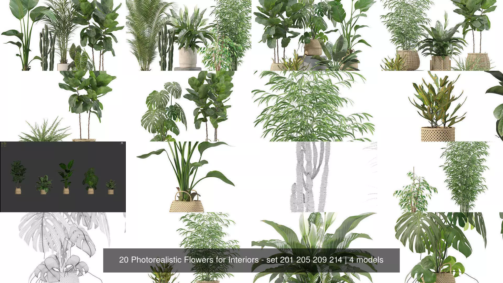 20 Photorealistic Flowers for Interiors - set 201 205 209 214 3D Model Collection_1