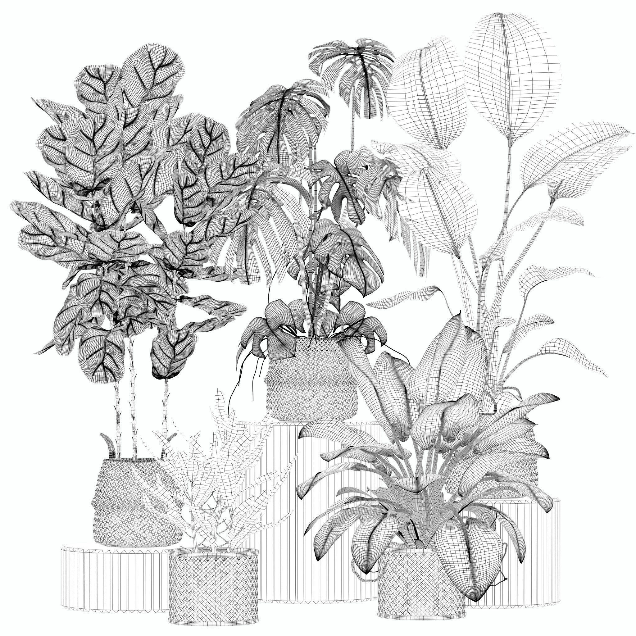 20 Photorealistic Flowers for Interiors - set 201 205 209 214 3D Model Collection_12