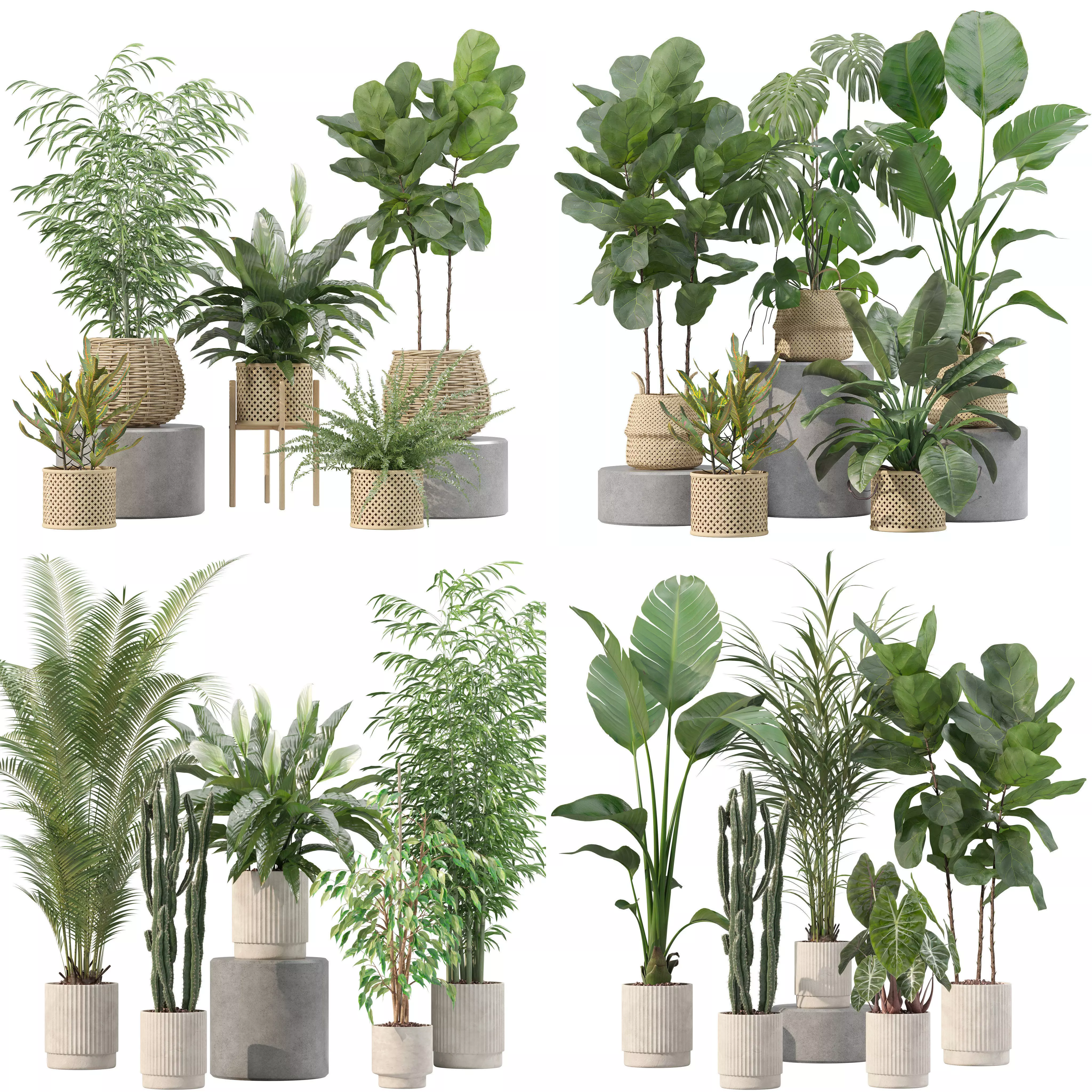 20 Photorealistic Flowers for Interiors - set 201 205 209 214 3D Model Collection_0