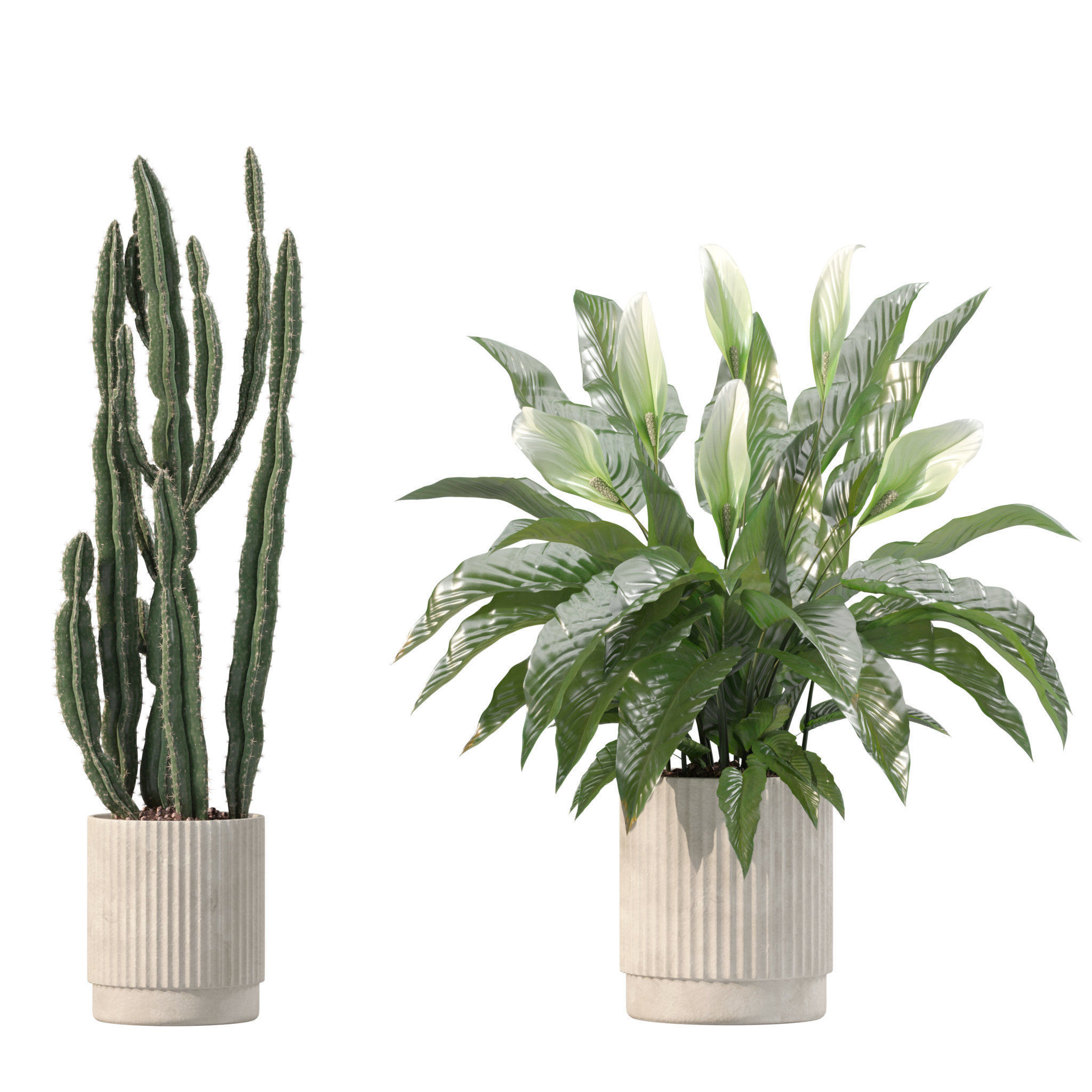 20 Photorealistic Flowers for Interiors - set 201 205 211 214 3D Model Collection_22