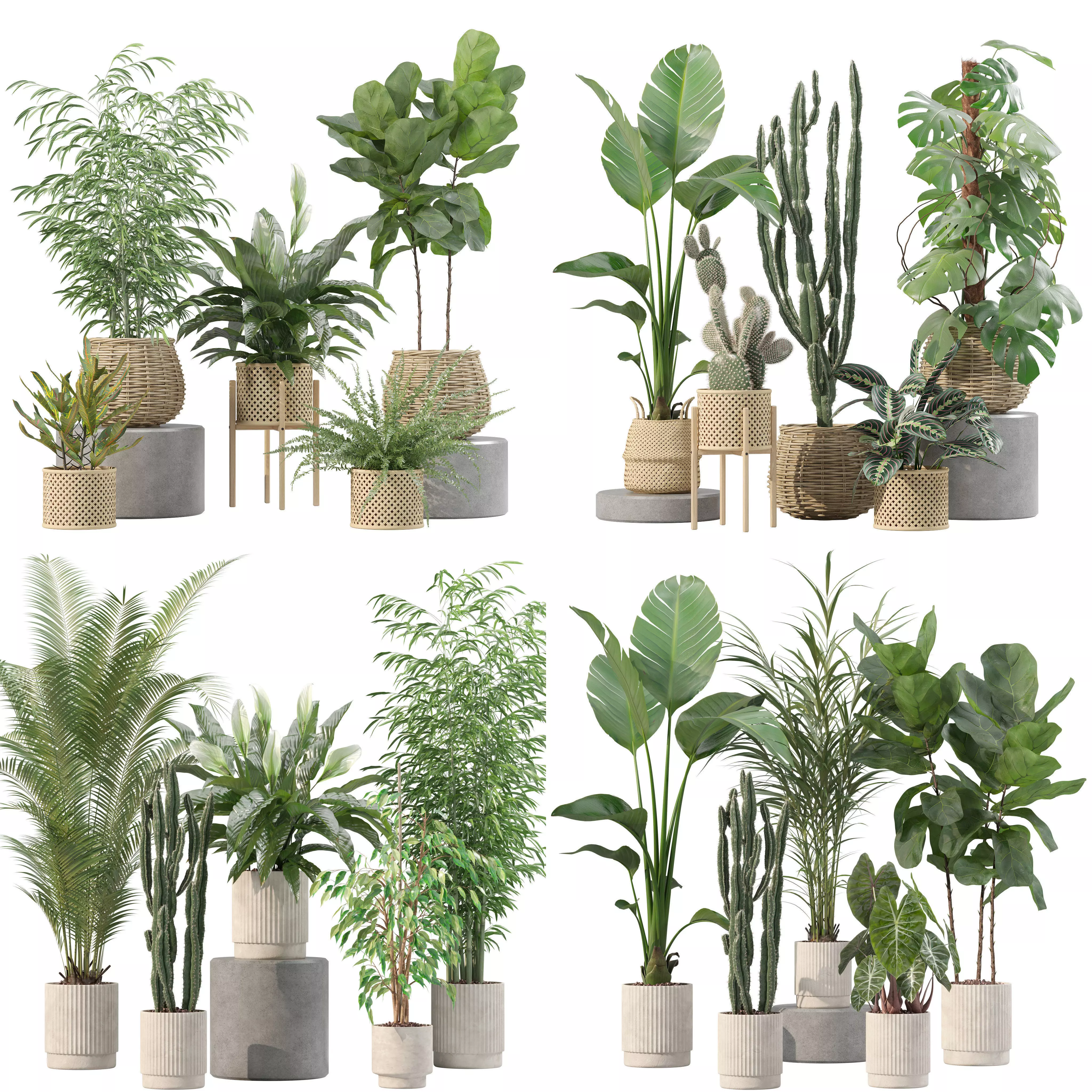 20 Photorealistic Flowers for Interiors - set 201 205 211 214 3D Model Collection_0