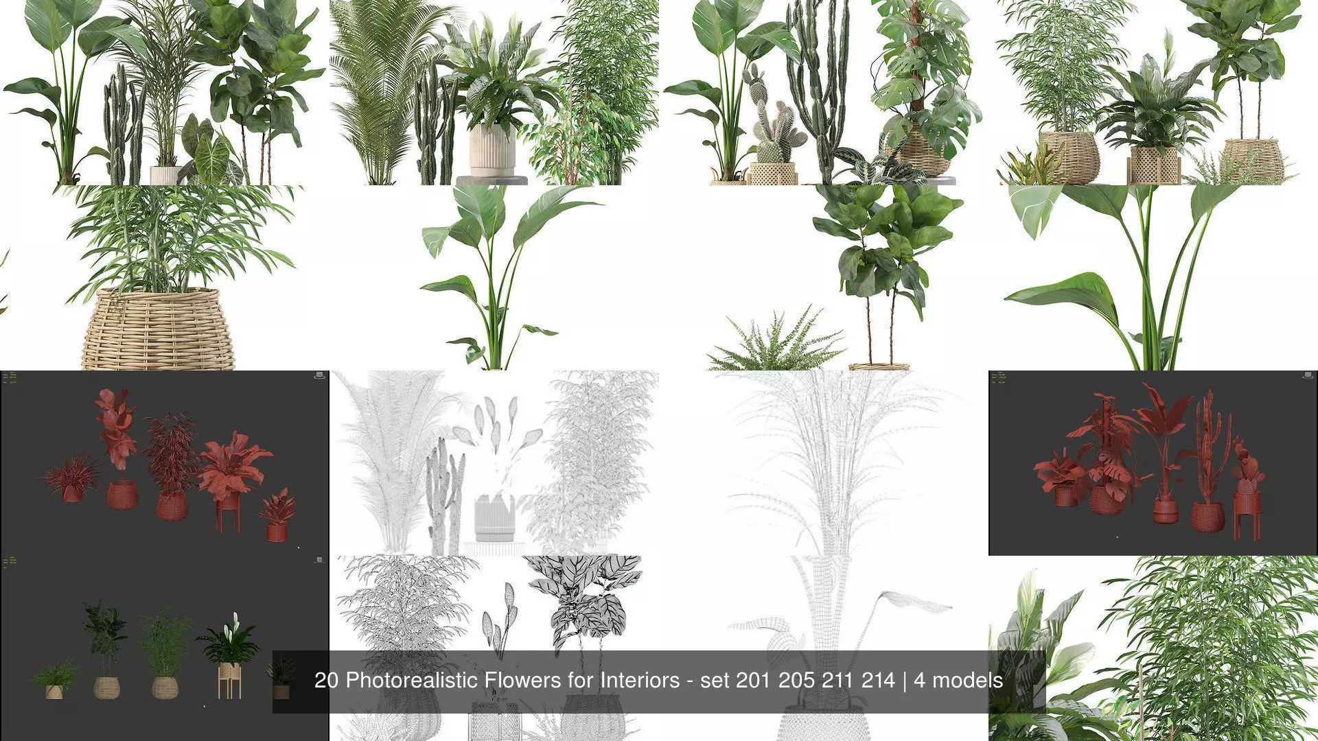 20 Photorealistic Flowers for Interiors - set 201 205 211 214 3D Model Collection_1