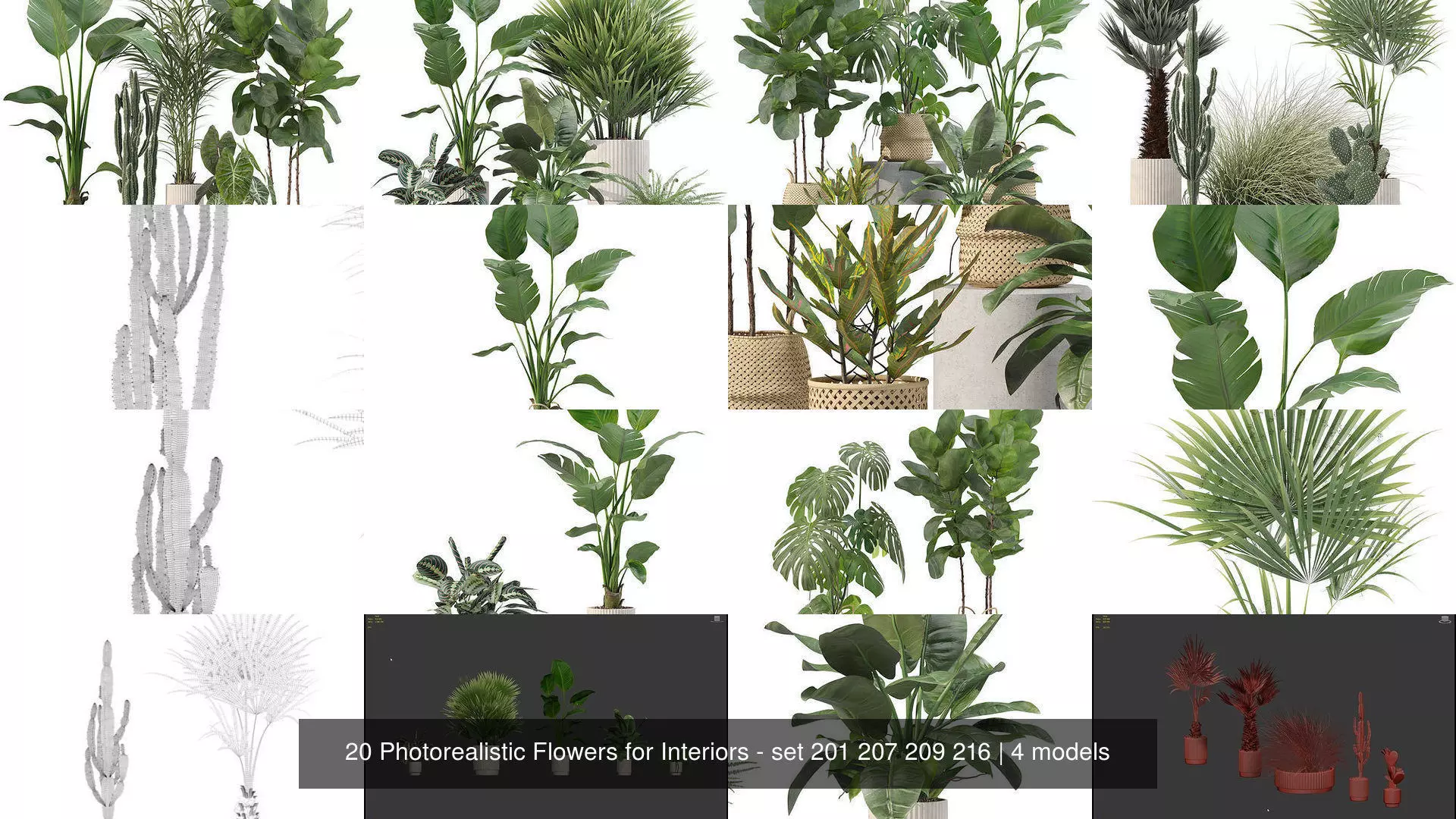 20 Photorealistic Flowers for Interiors - set 201 207 209 216 3D Model Collection_1