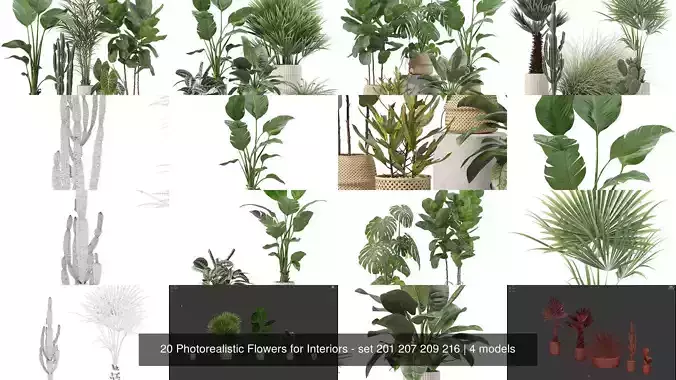 20 Photorealistic Flowers for Interiors - set 201 207 209 216