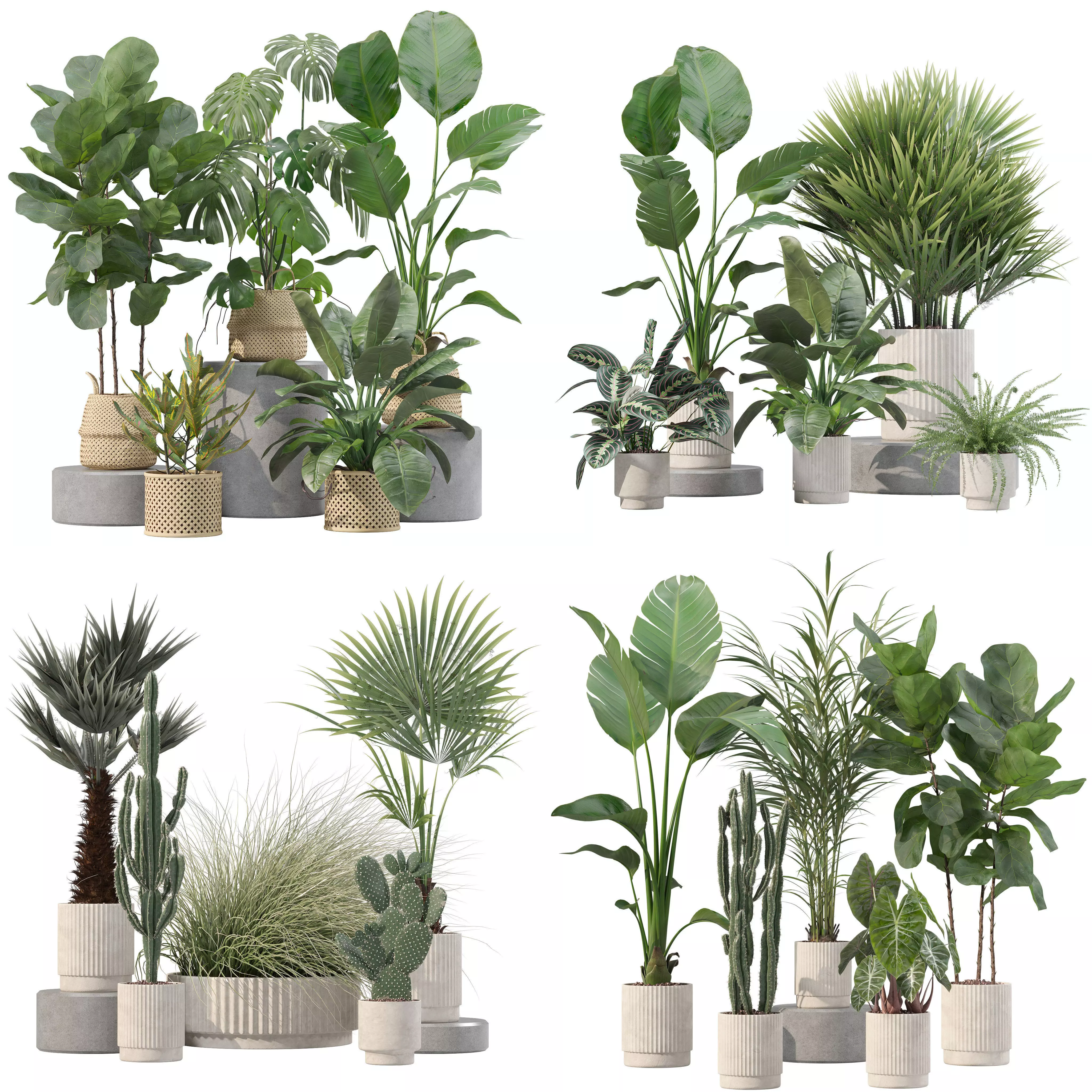 20 Photorealistic Flowers for Interiors - set 201 207 209 216 3D Model Collection_0