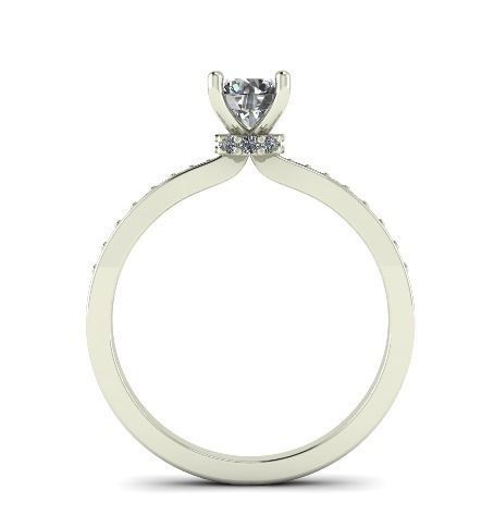 2512 ring 3D print model_1