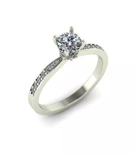 2512 ring 3D print model_0