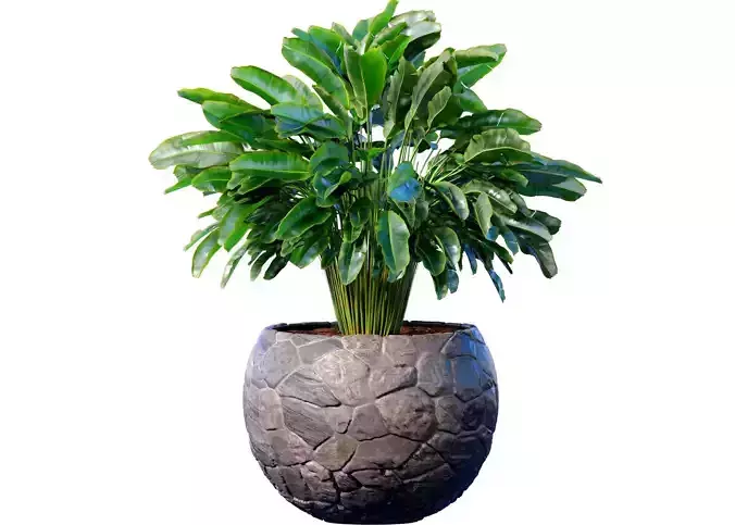 Decorative fern in a stone pot flowerpot vase