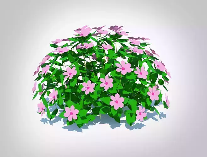 Plant Impatiens-pink Low-poly 3D model