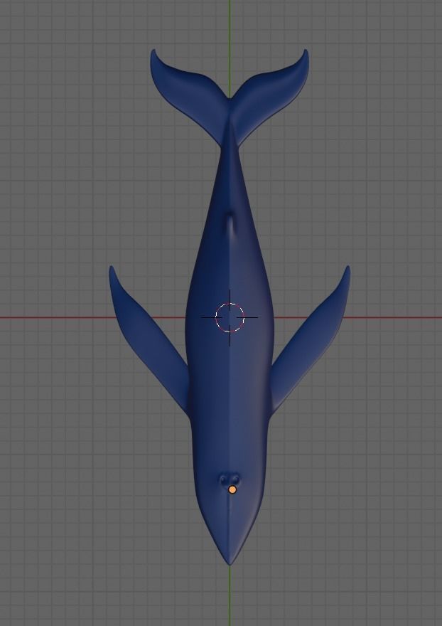 blue whale 3D model_6
