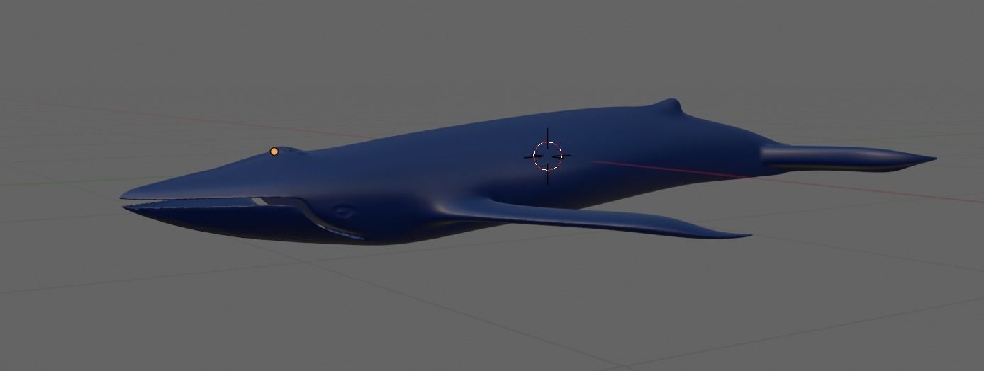 blue whale 3D model_3