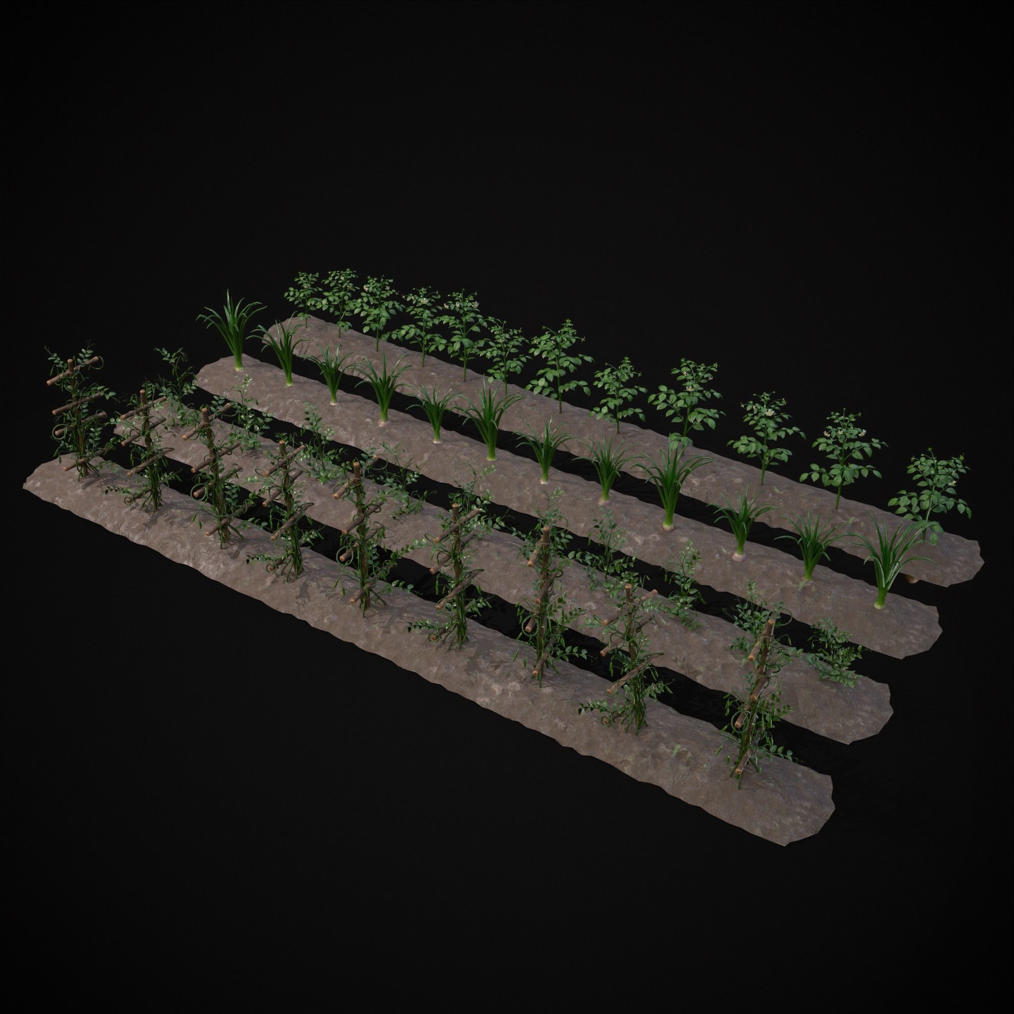 Crops Peas Onions and Potatoes 3D Model Collection_4