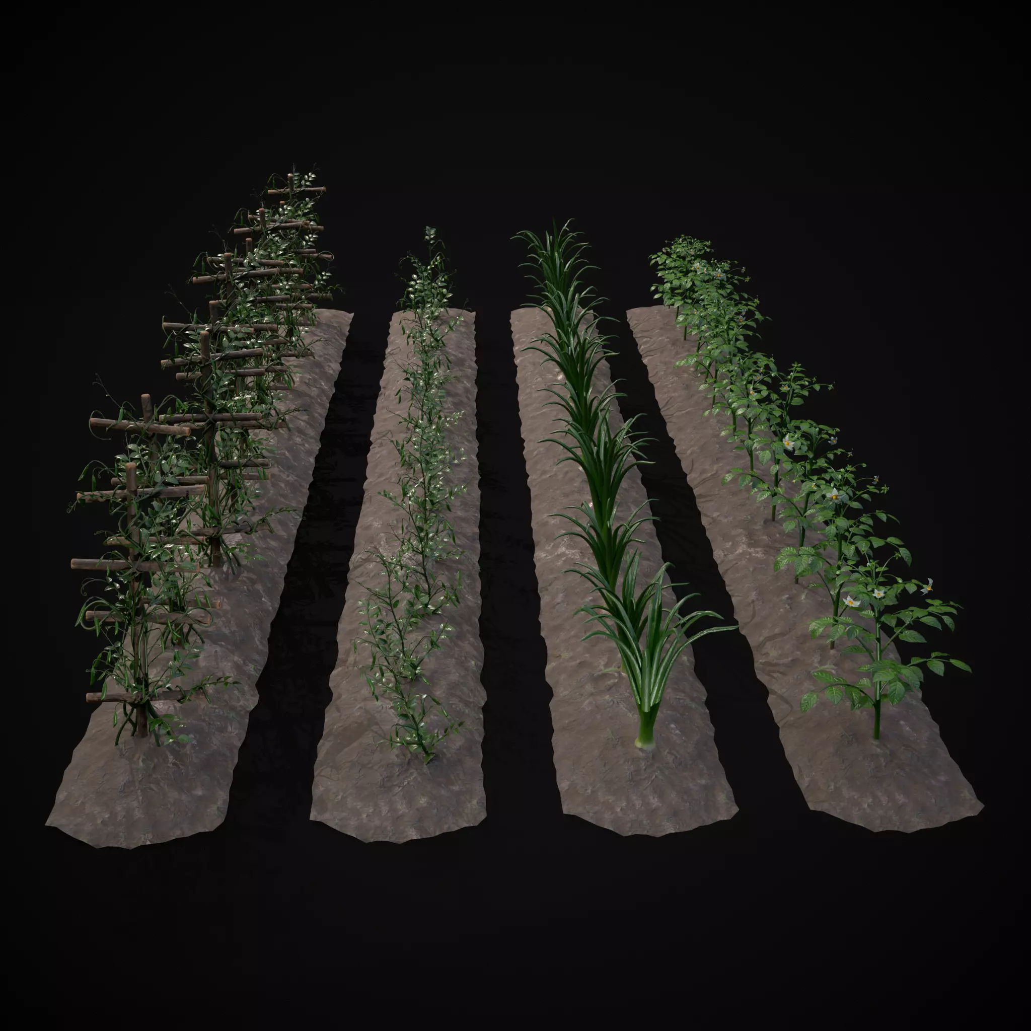 Crops Peas Onions and Potatoes 3D Model Collection_0