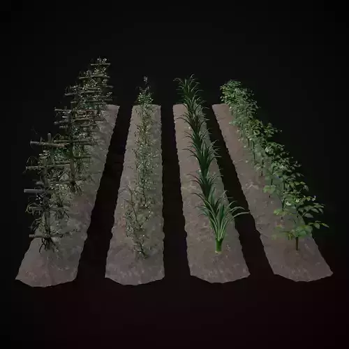 Crops Peas Onions and Potatoes 3D Model Collection