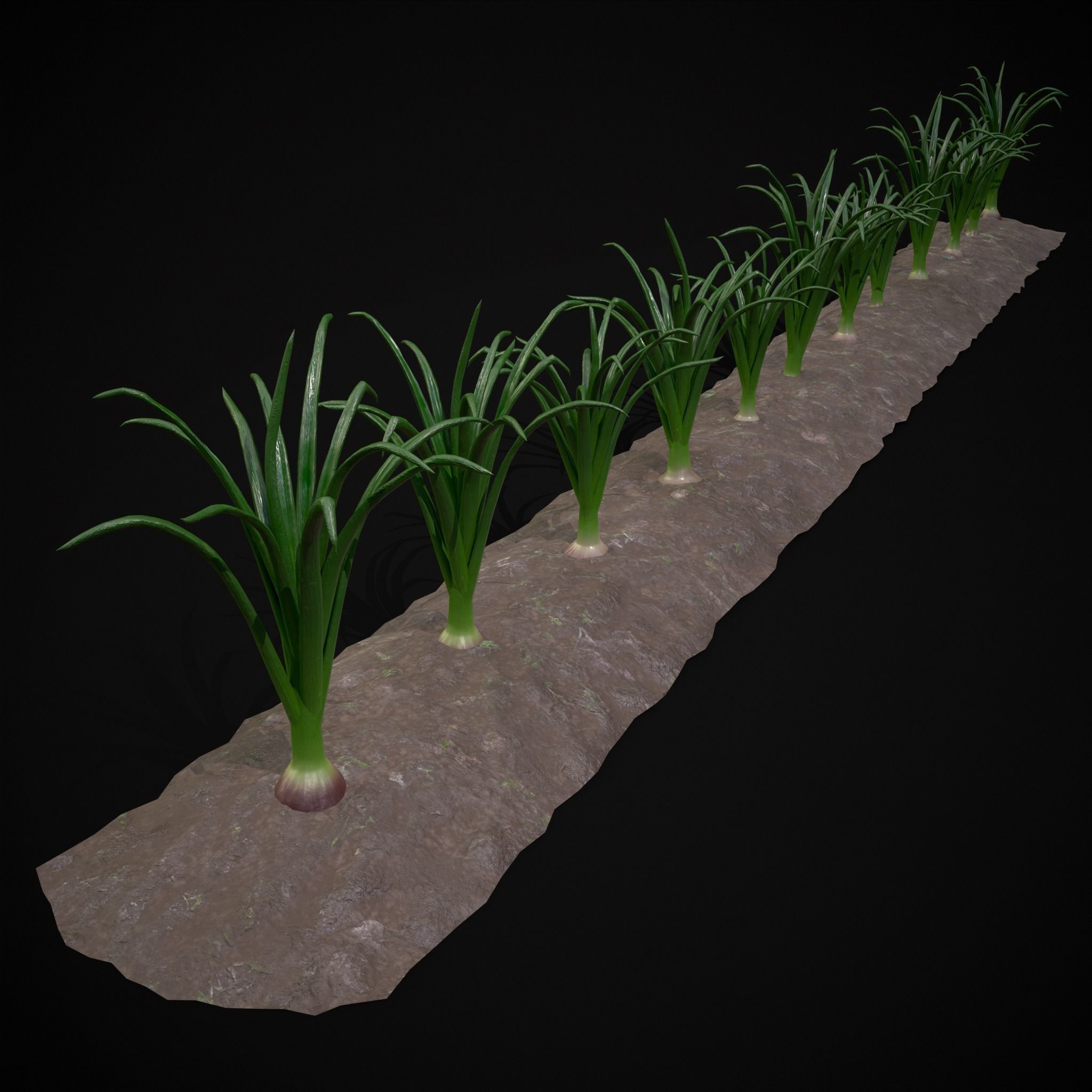 Crops Peas Onions and Potatoes 3D Model Collection_8